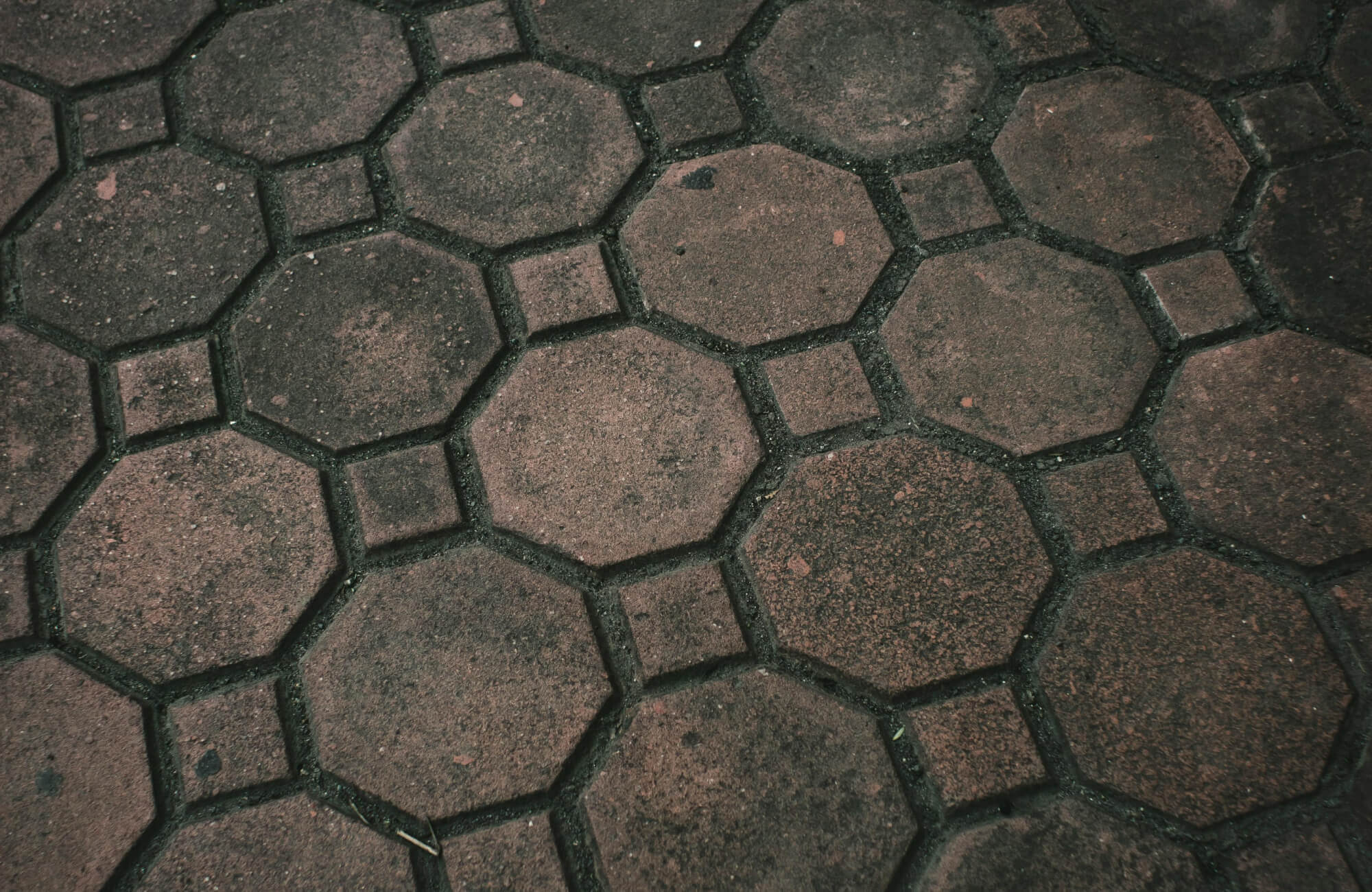 Close-up of outdoor pavers showing dark patches and early signs of mold growth between joints.
