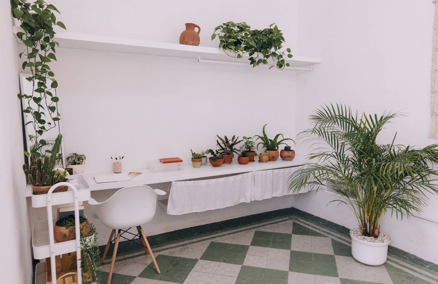 Minimalist home office with green and white checkerboard tile flooring, white furniture, and potted plants adding natural accents.