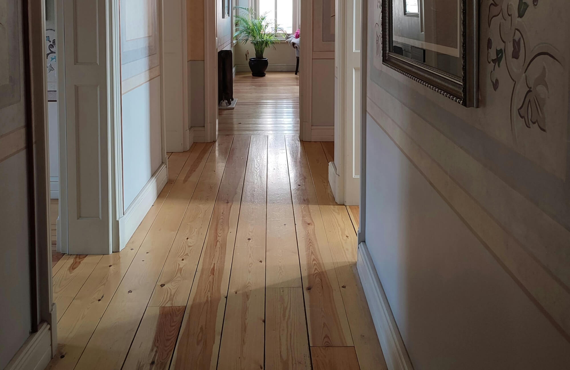 Sunlit hallway with natural hardwood planks highlighting grain variation and a warm, smooth finish