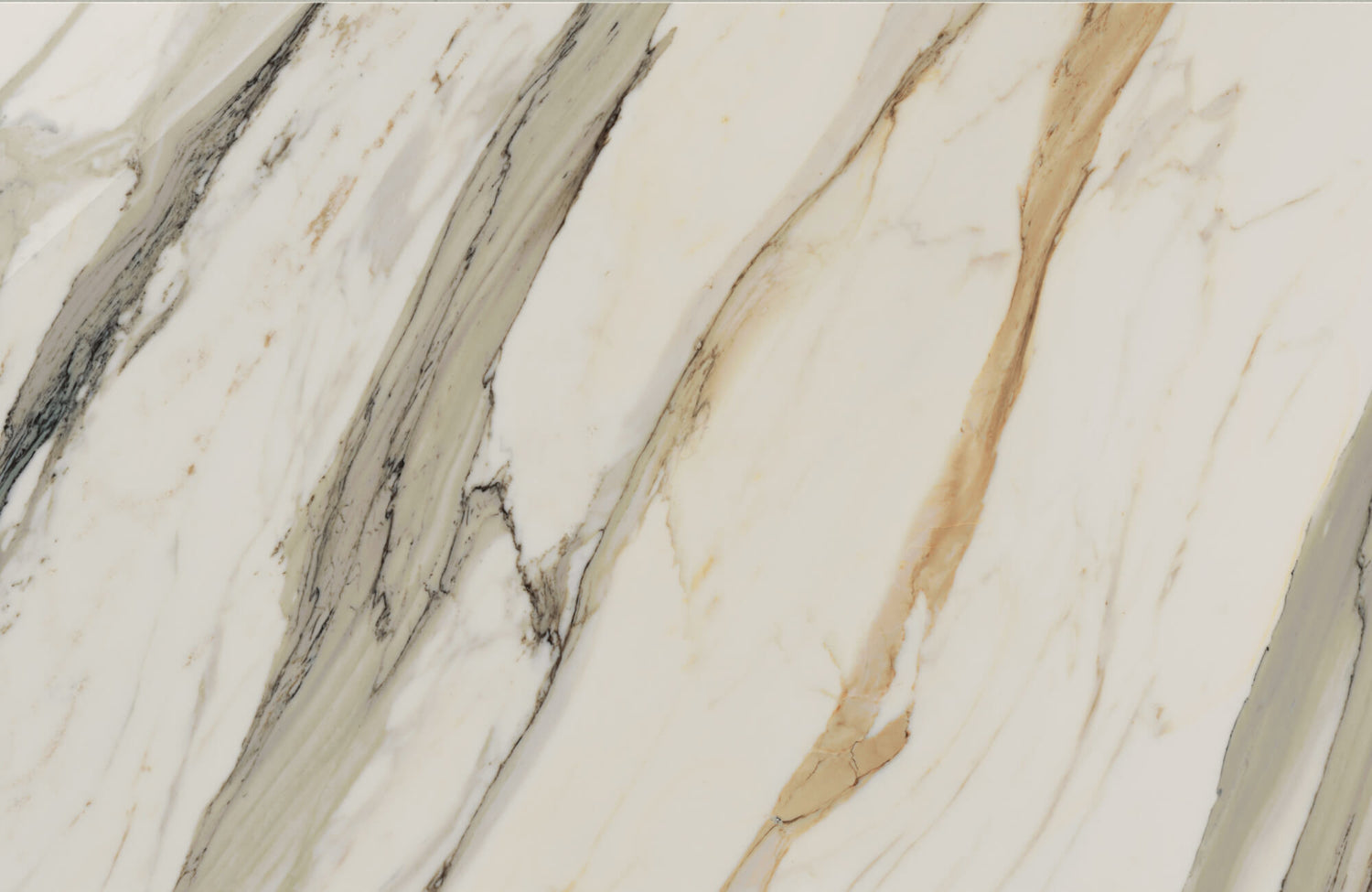 Elegant Aniston 24x48 matte porcelain tile in Calacatta Cremo, featuring striking ivory tones with bold veining in taupe and gray for a luxurious marble look.