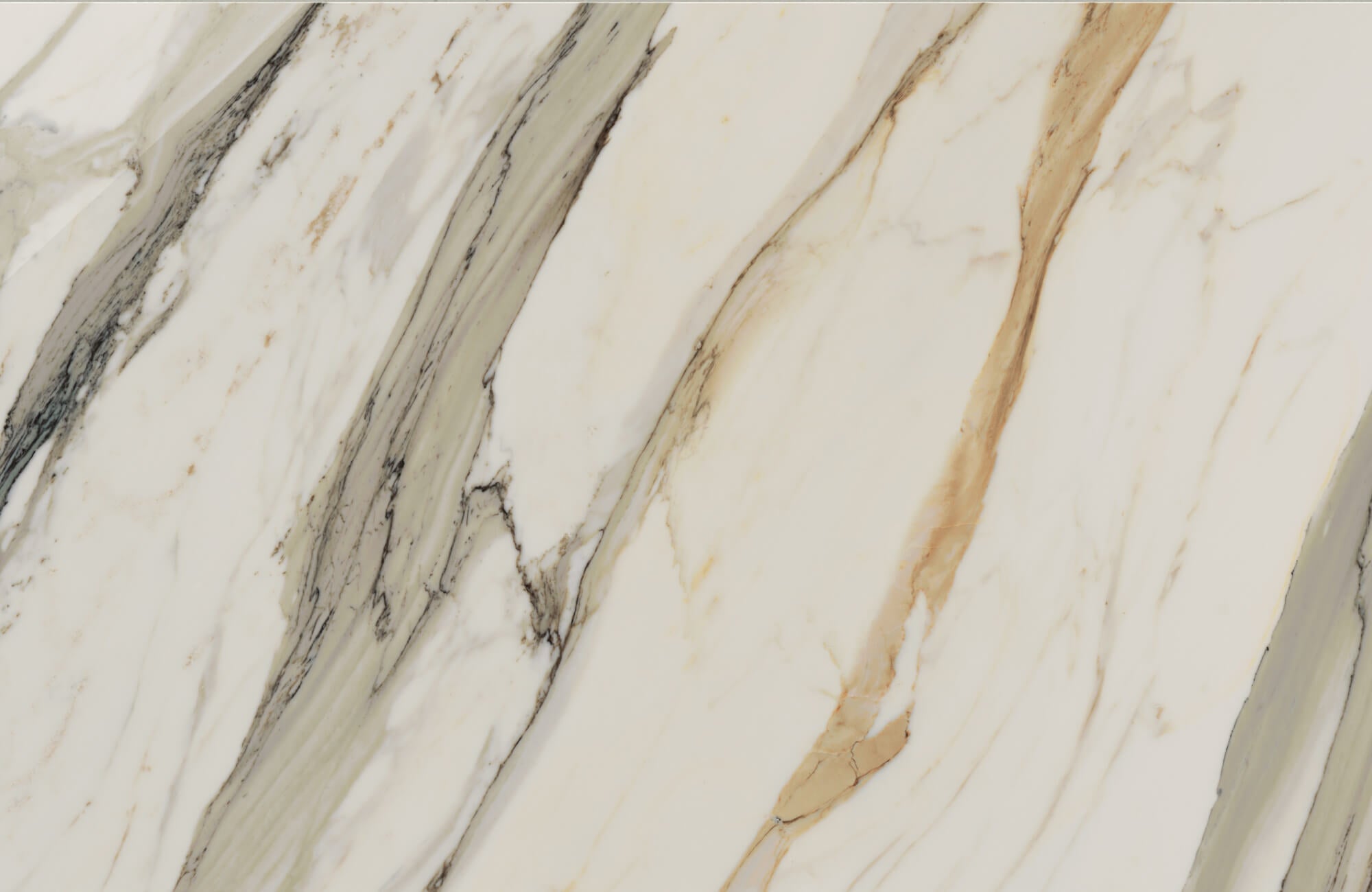 Elegant Aniston 24x48 matte porcelain tile in Calacatta Cremo, featuring striking ivory tones with bold veining in taupe and gray for a luxurious marble look.