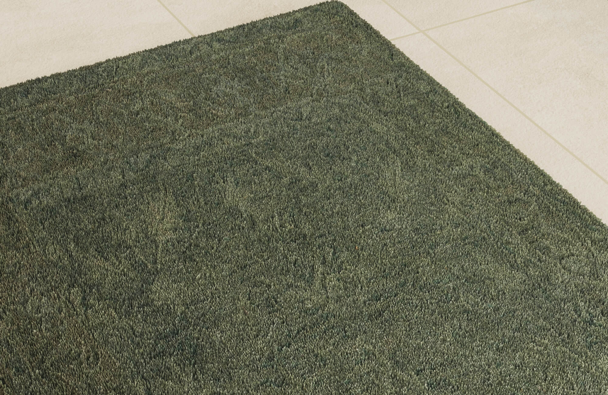 A vintage-style area rug with muted green, orange, and neutral floral patterns is being vacuumed on a light wood floor.