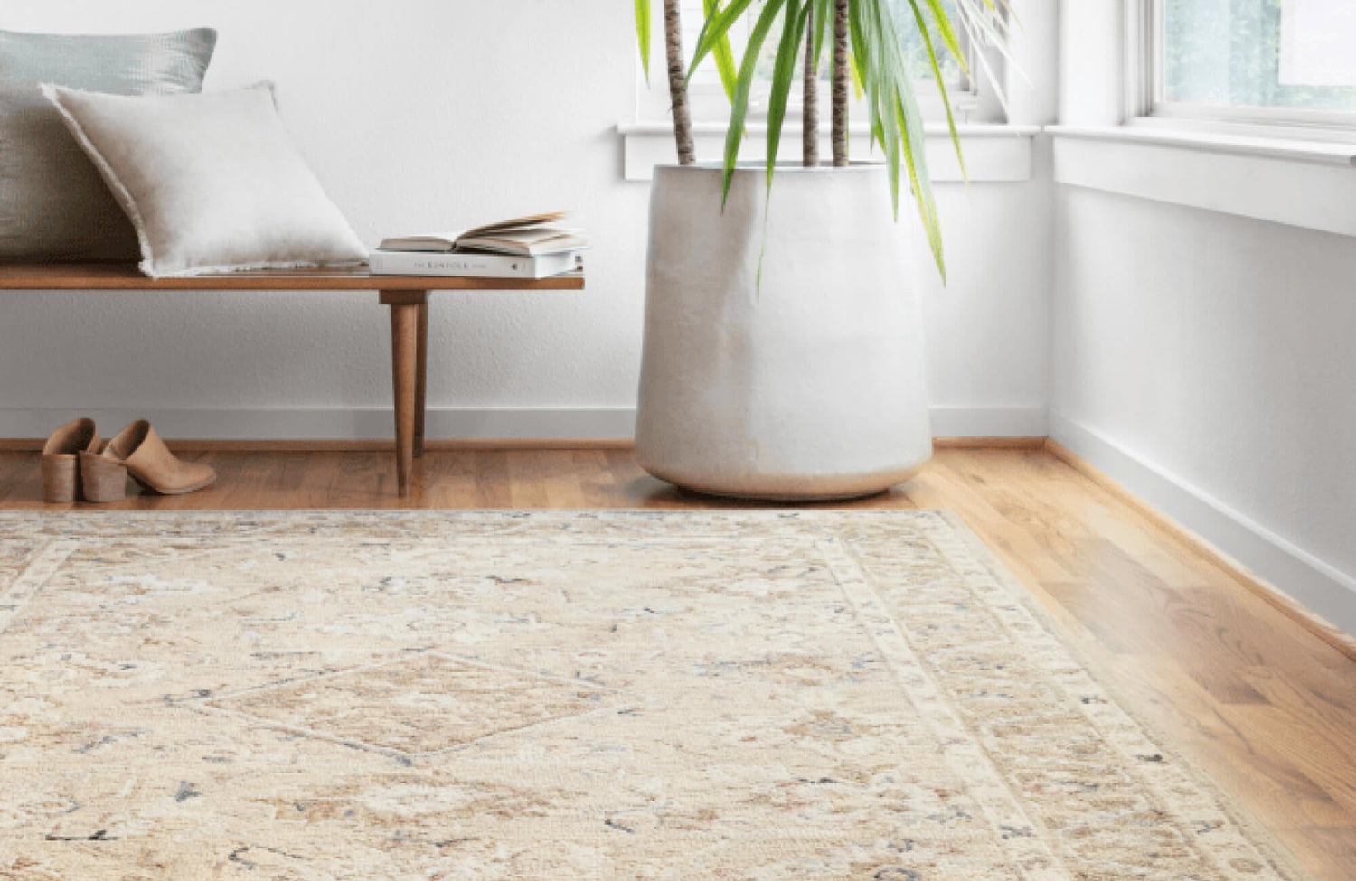 Bright, minimalist space featuring a vintage-style beige rug with intricate patterns, a wooden bench, and natural décor.