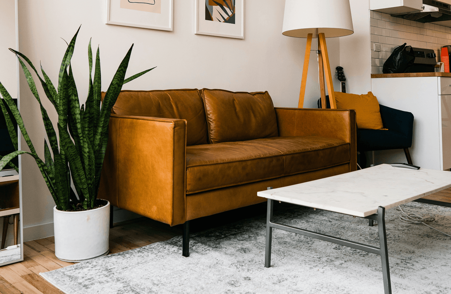 Modern living room with a tan leather sofa, a marble coffee table, and a tall snake plant in a white pot.