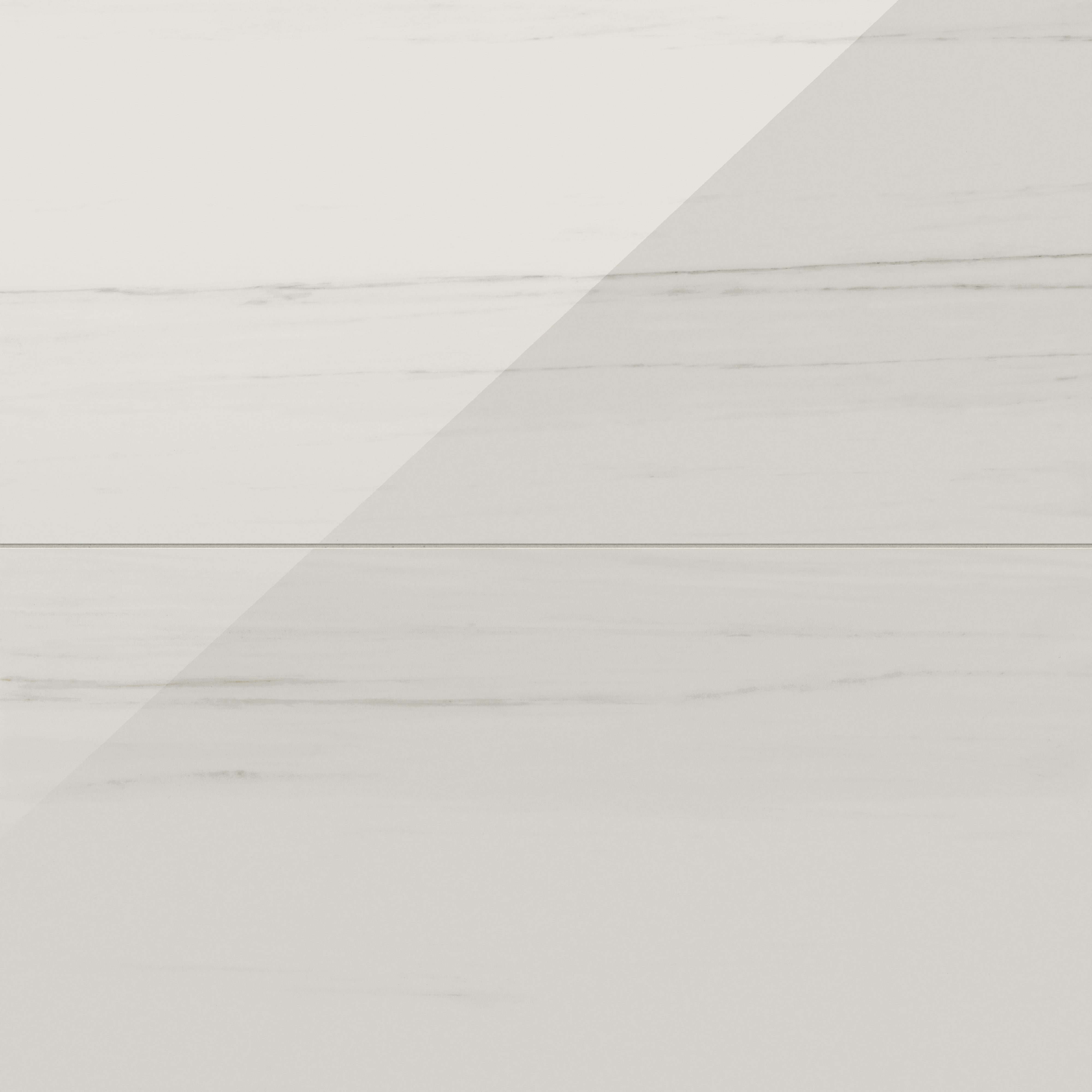 Chantel 24x48 Polished Porcelain Tile in Dolomite