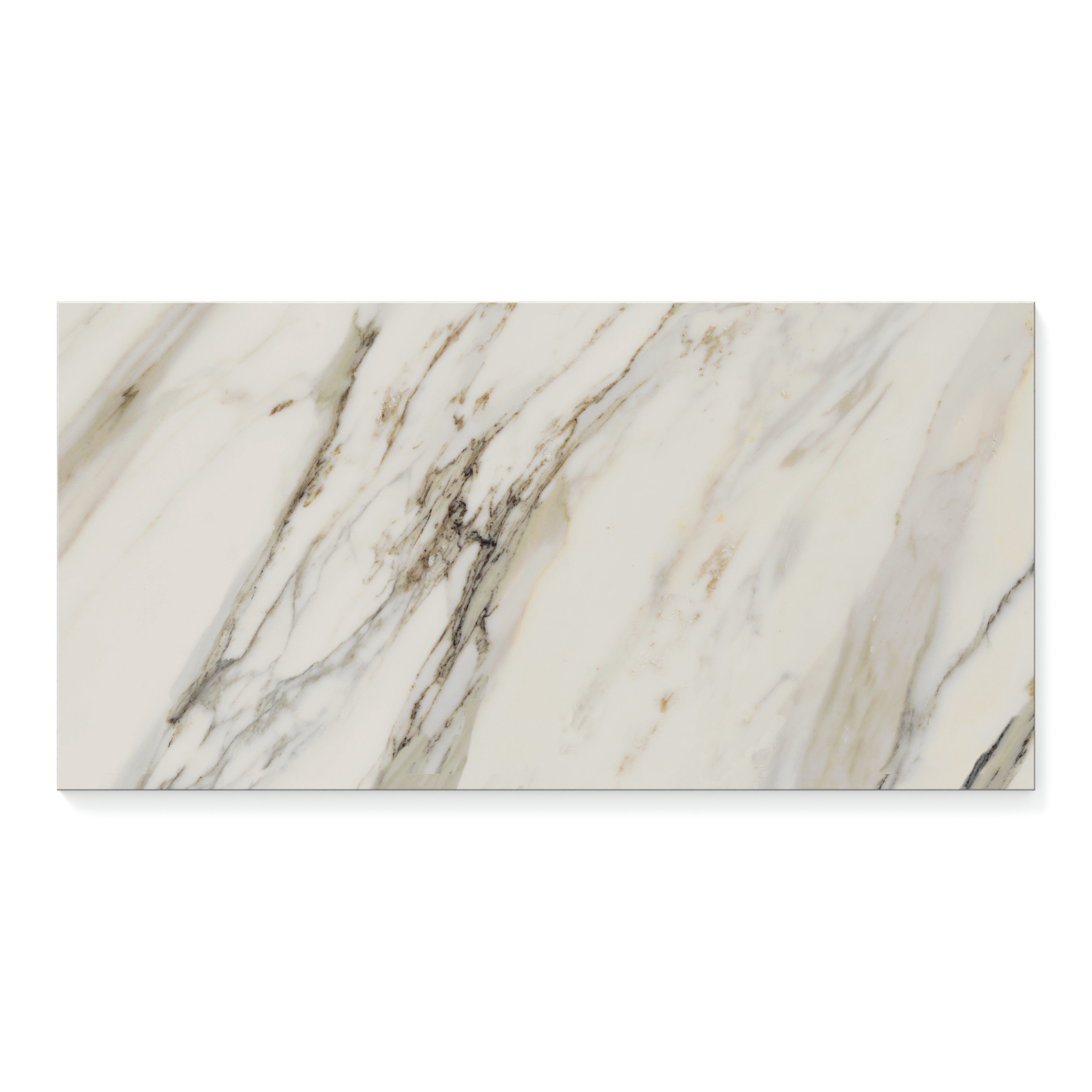 Aniston 12x24 Polished Porcelain Tile in Calacatta Cremo