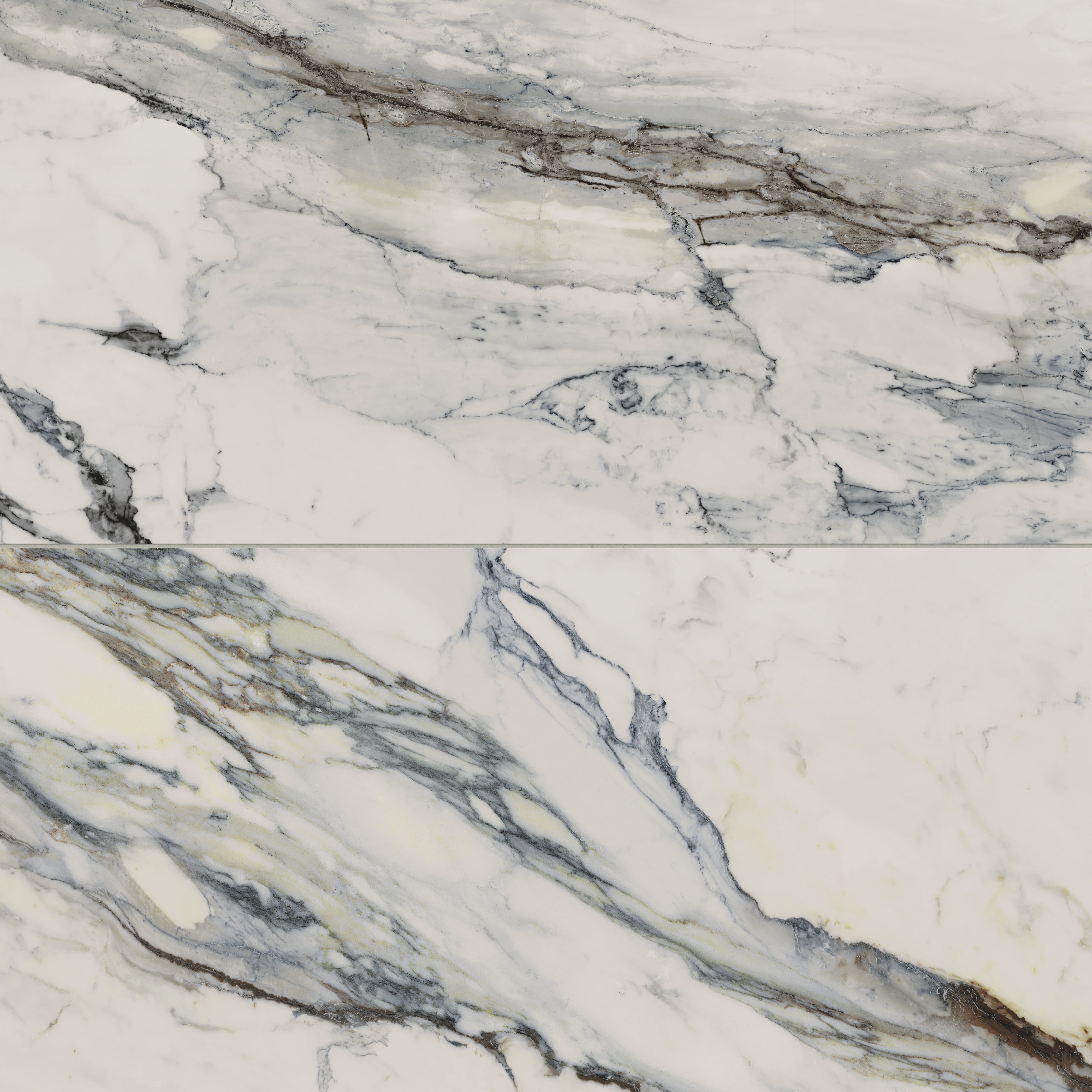 Matte Calacatta Antico porcelain tile marble look in 24x48 format, featuring blue and light grey veining on a pristine white surface for a modern statement.