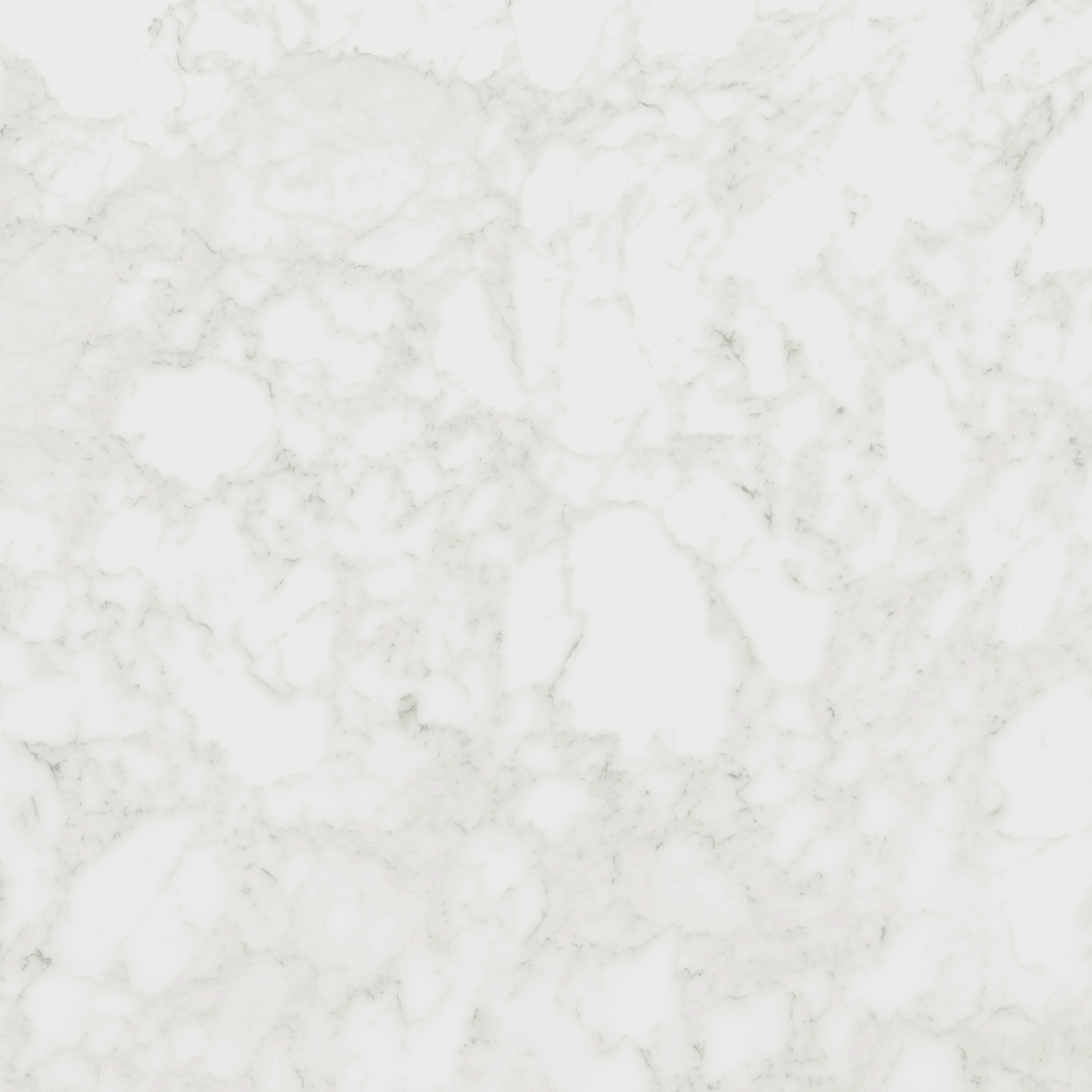 Polished 48x48 Carrara-style porcelain tile with light grey veining on a pristine white base, offering timeless elegance for walls or floors.