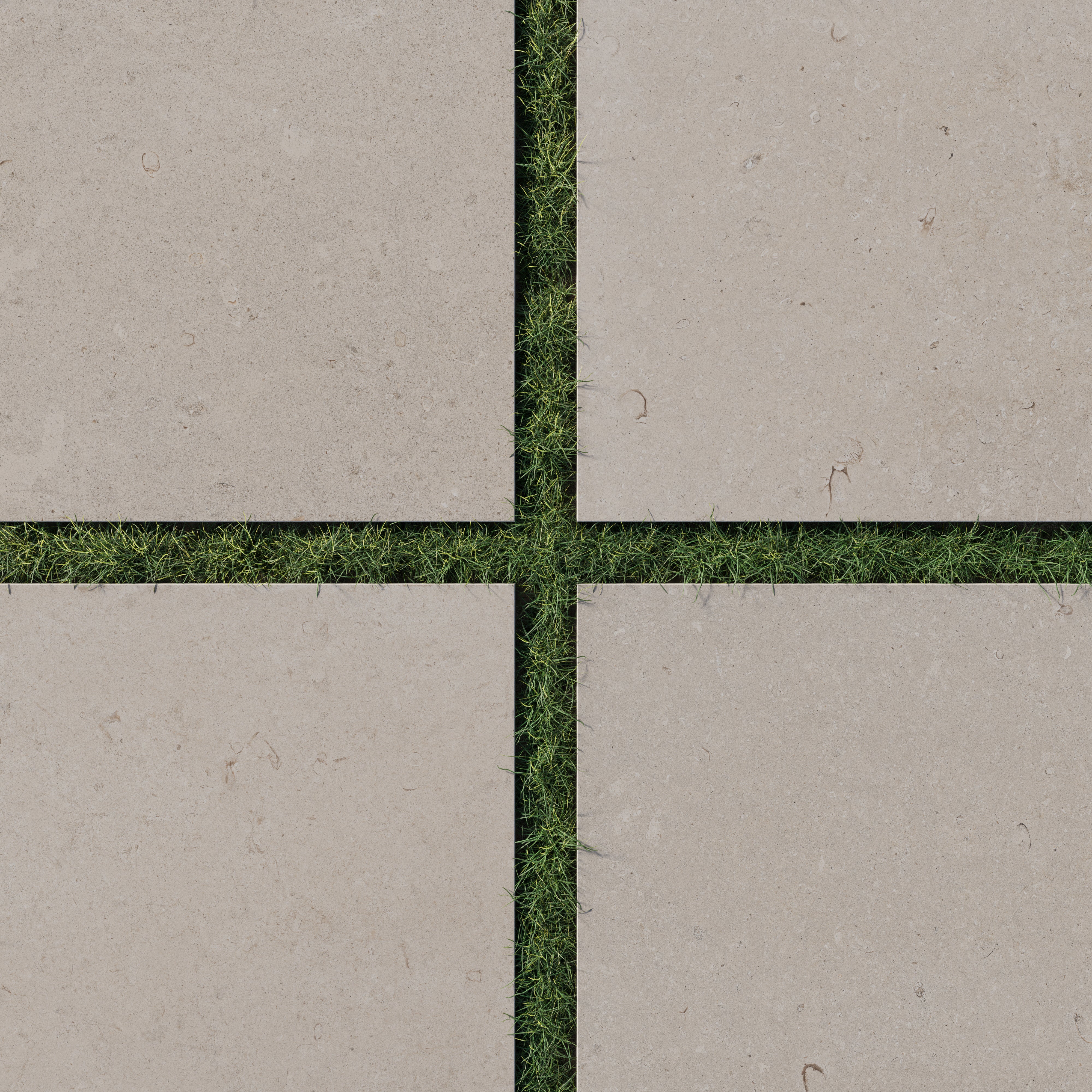 Wren 24x24 2cm matte porcelain pavers in a natural dune-beige finish, seamlessly arranged with lush green grass for a modern outdoor aesthetic.