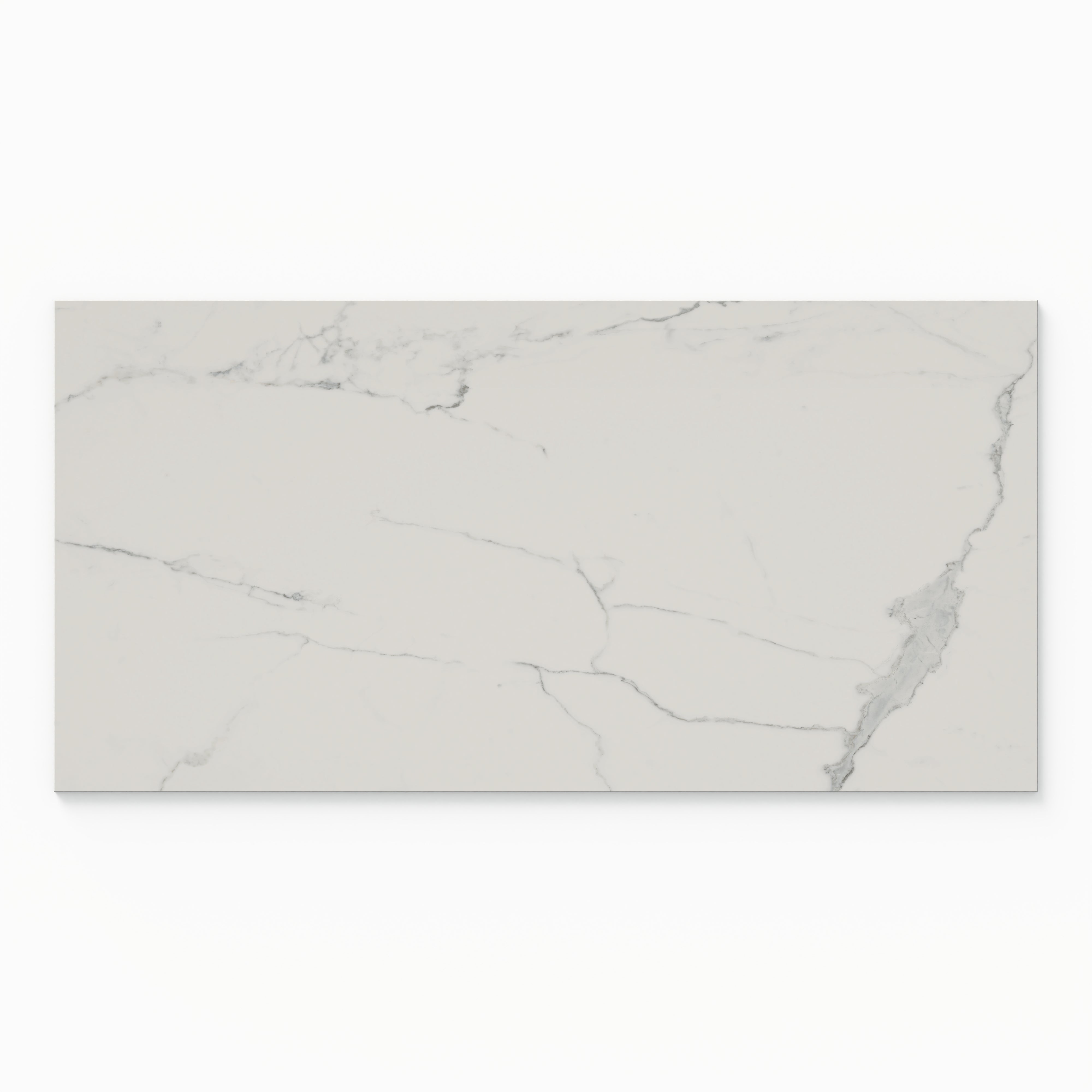 Leona 24x48 Polished Porcelain Tile in Calacatta