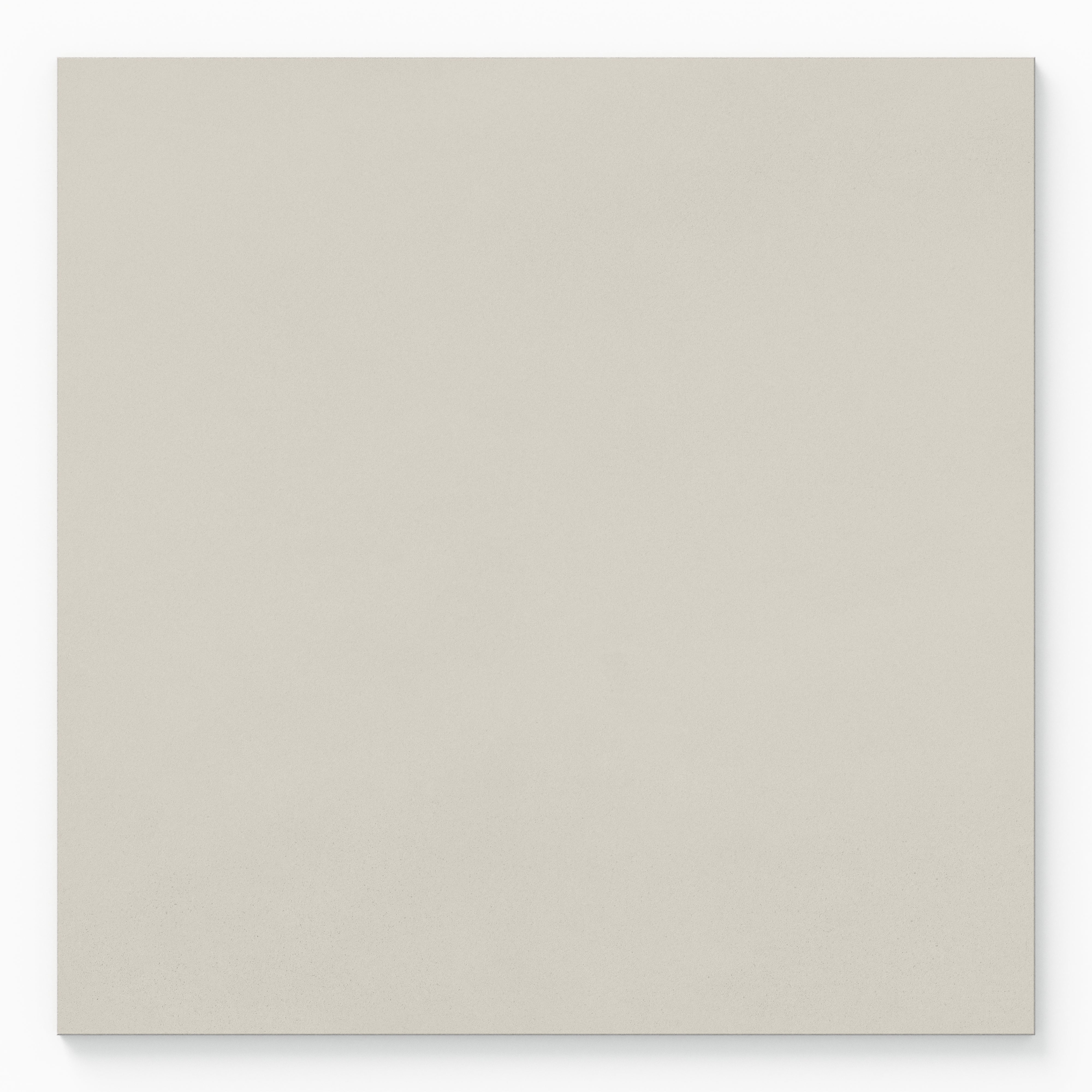 Palmer 24x24 Matte Porcelain Tile in White