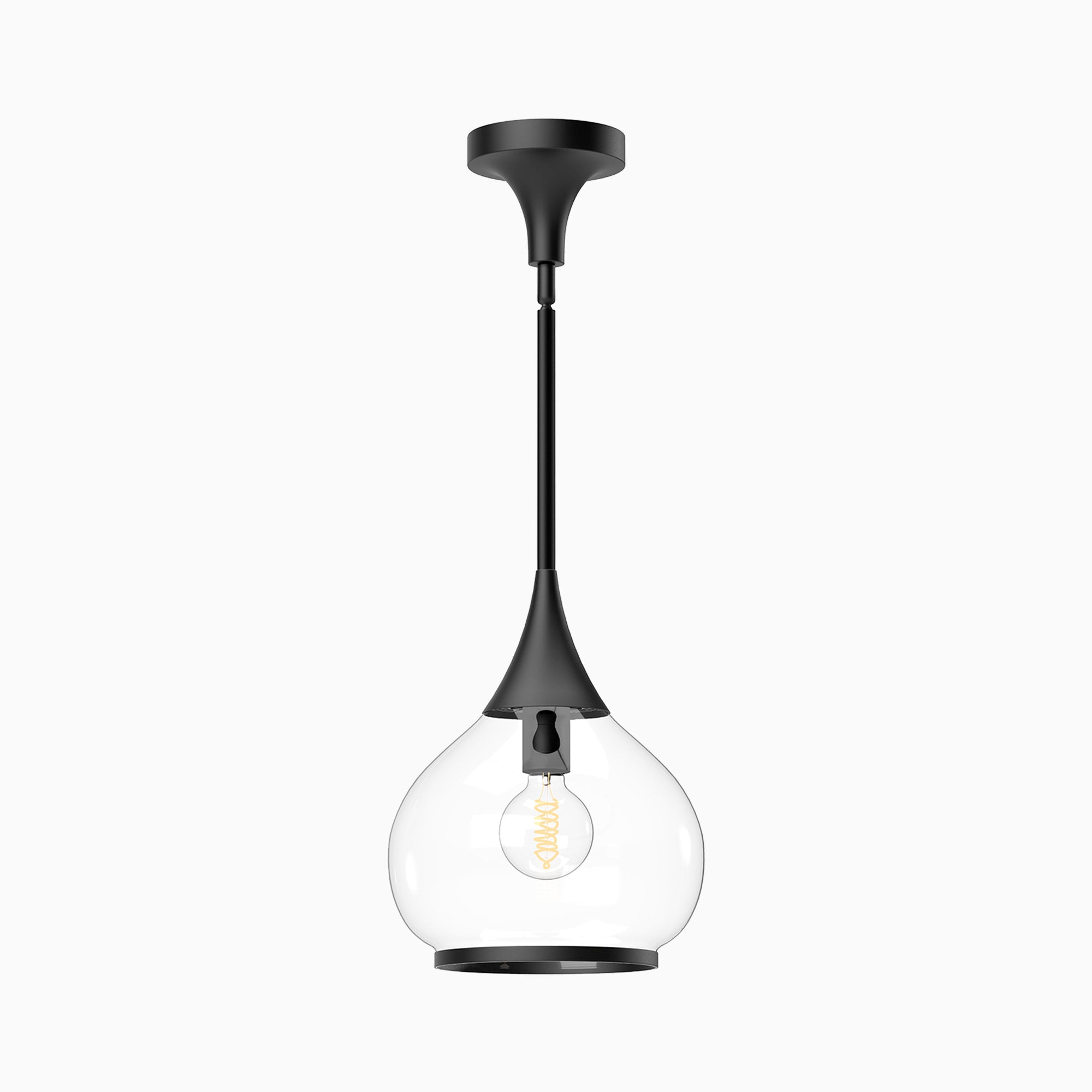 Eleanor 10" 1 Light Pendant in Clear Glass/Matte Black