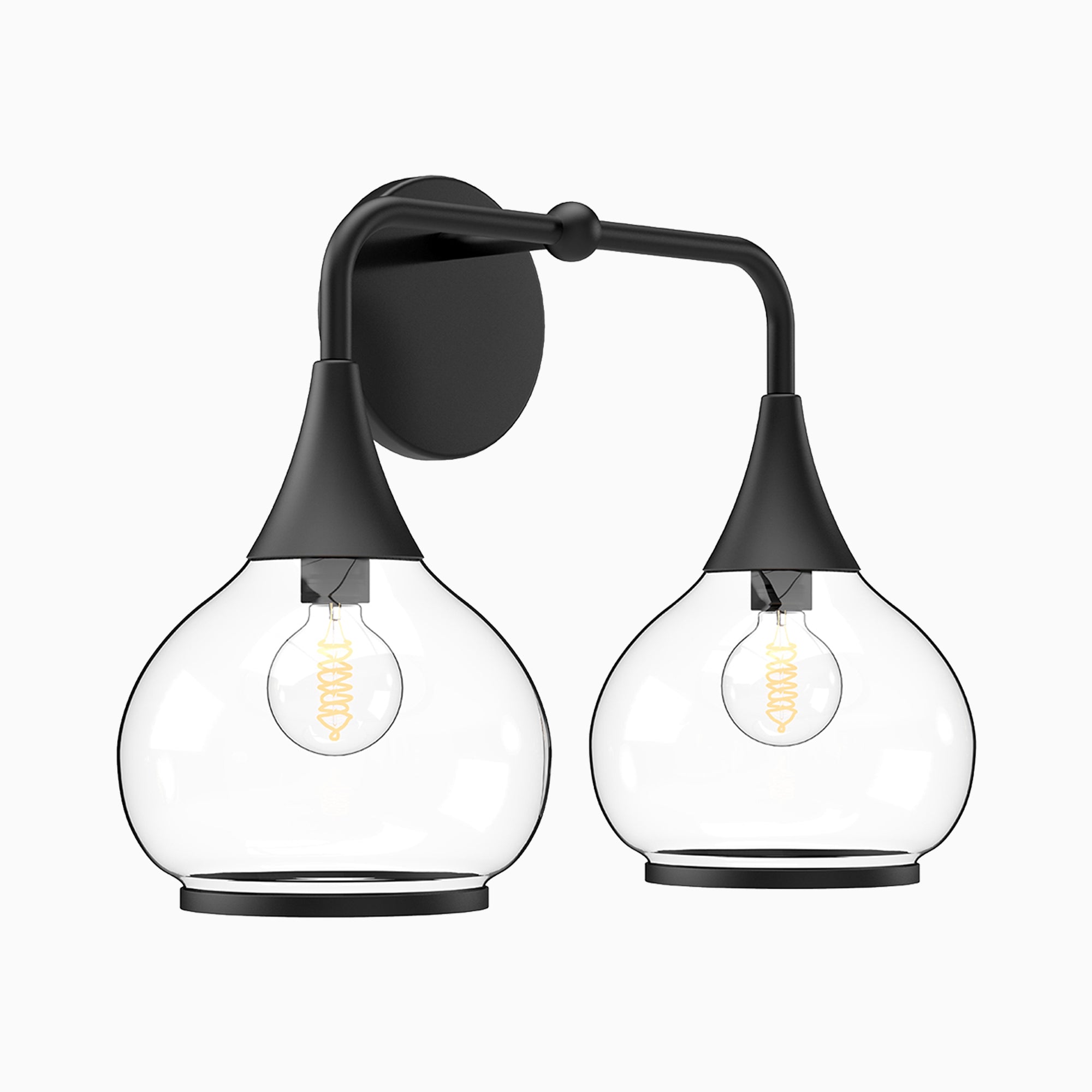 Eleanor 17" 2 Lights Vanity Light in Clear Glass/Matte Black