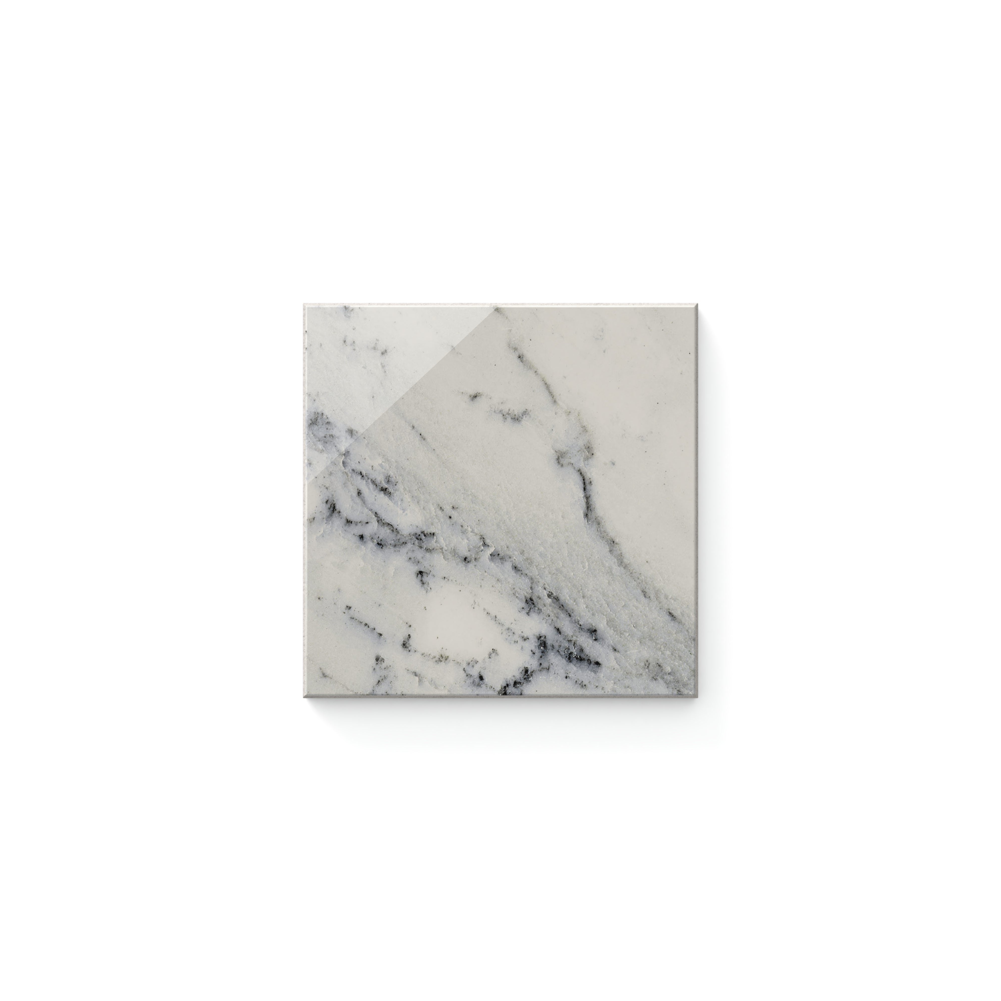 Aniston 4 x 4 Polished in Calacatta Antico Sample