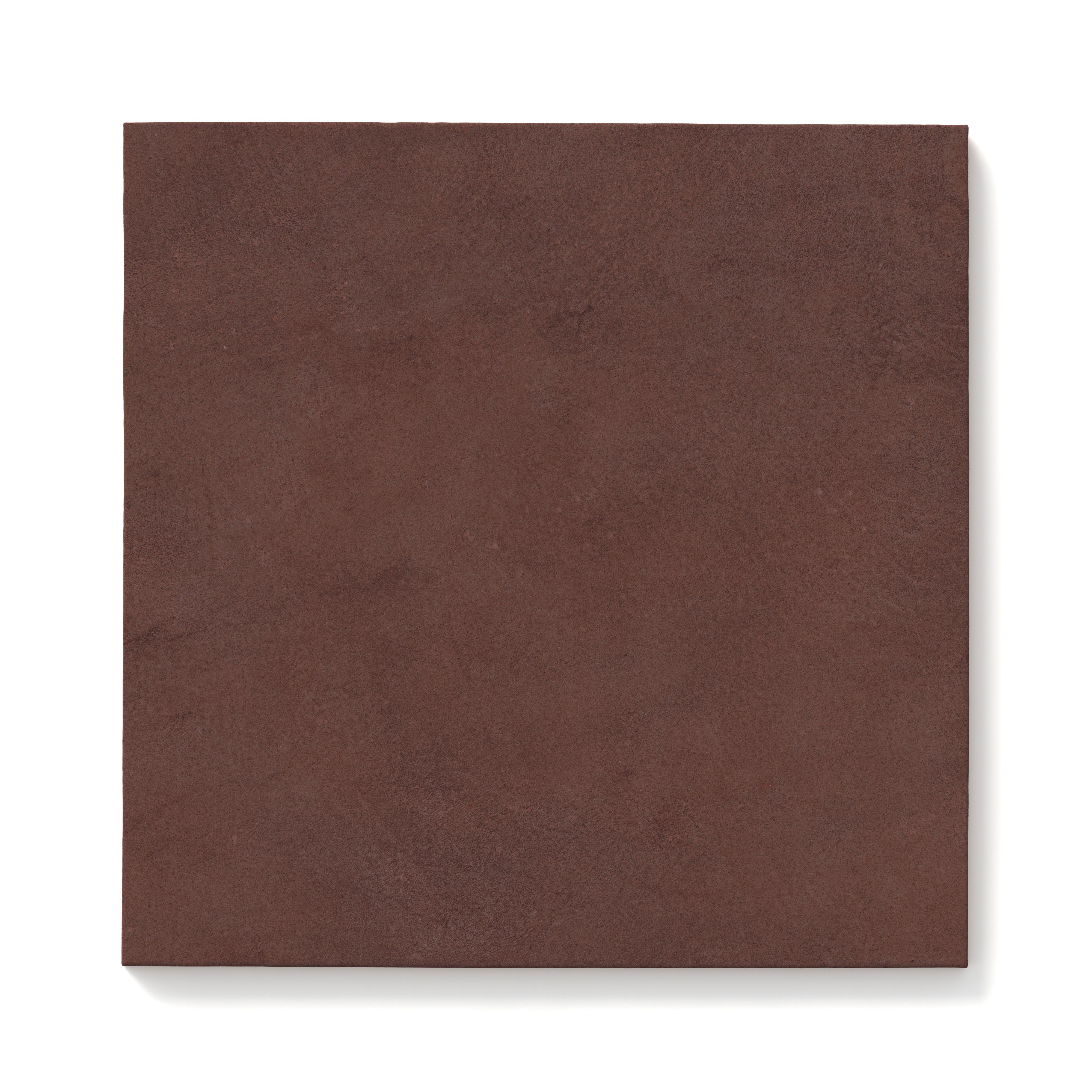Kai 12x12 Matte Porcelain Tile in Marron