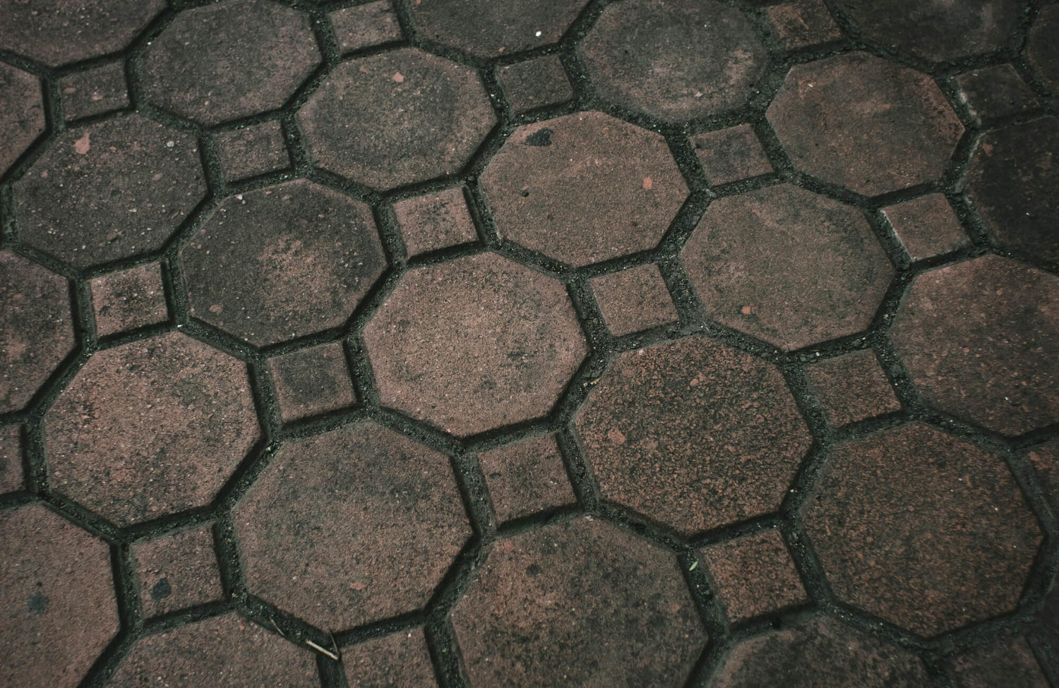 Close-up of outdoor pavers showing dark patches and early signs of mold growth between joints.
