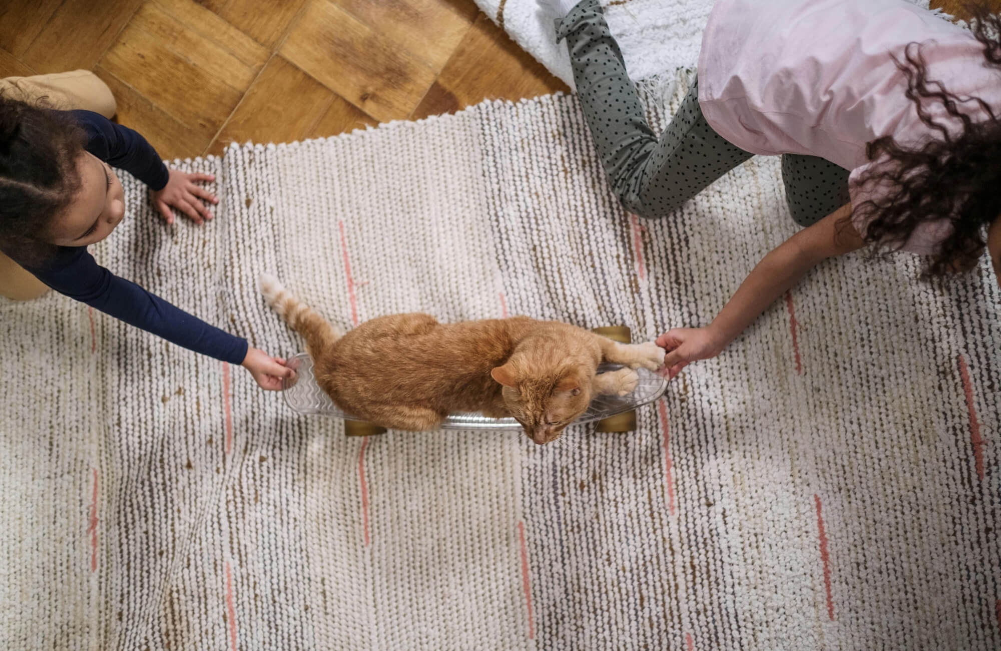 Two children playfully push an orange cat on a skateboard over a textured cream rug with subtle red and gray accents.