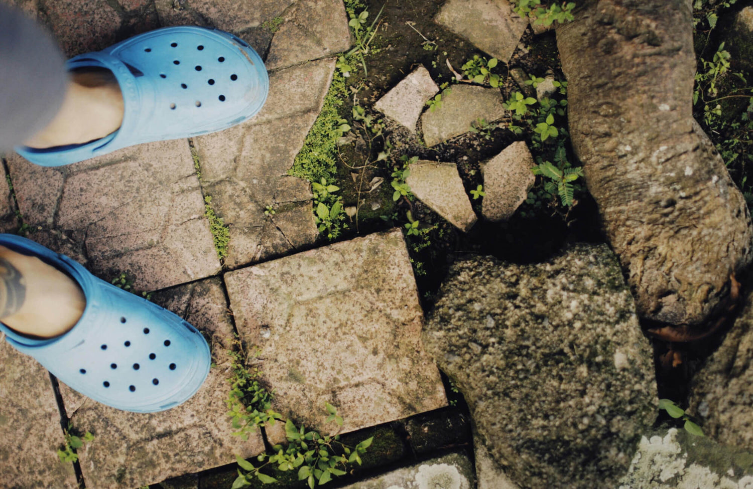 Person wearing blue slip-on clogs standing on weathered stone pavers with moss and small plants growing between cracks.
