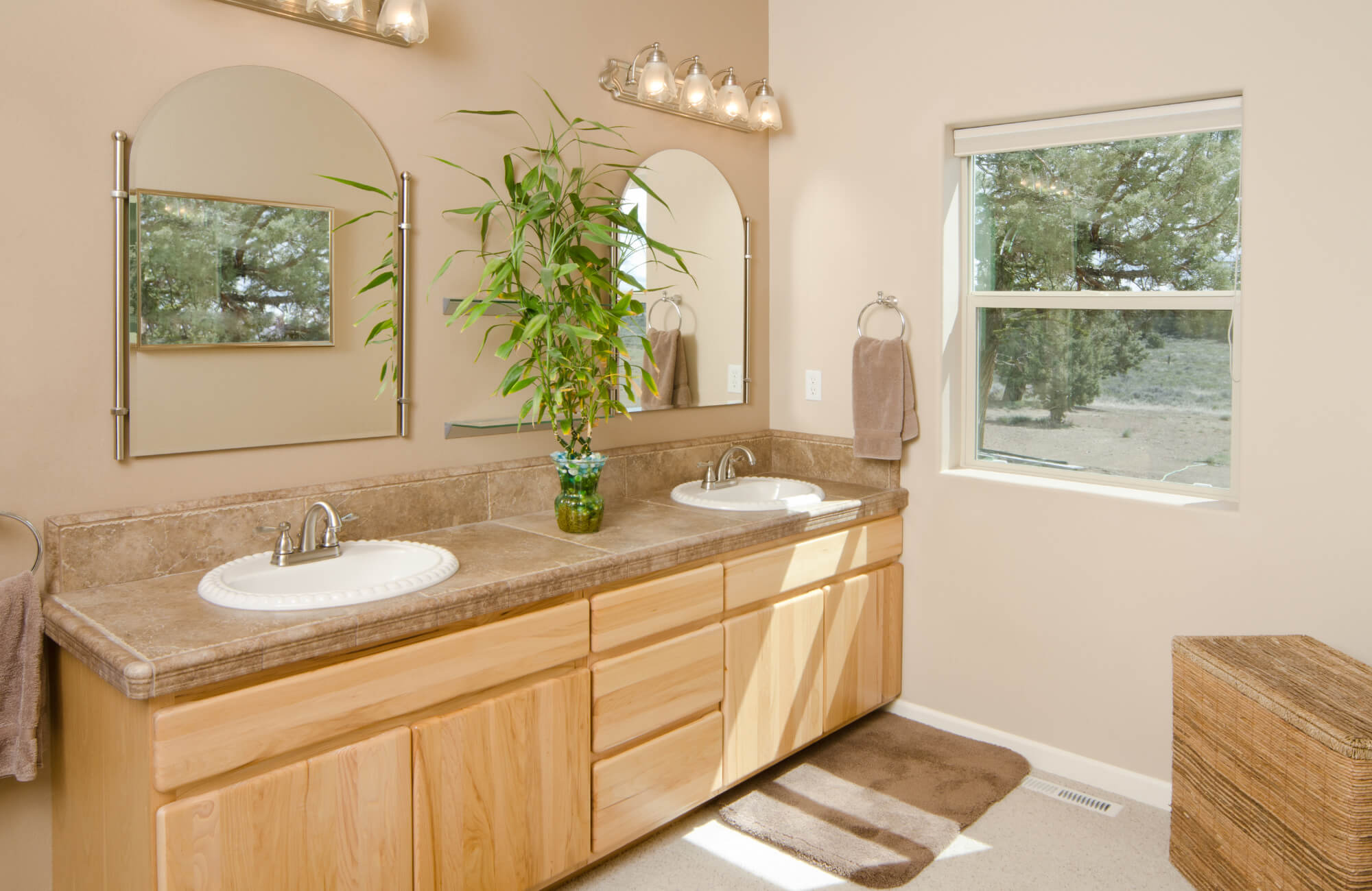 Double-sink bathroom vanity with light wood cabinets, stone countertop, twin mirrors, and a potted plant centerpiece.