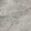 Chantel 24x48 Matte Porcelain Tile in Imperial
