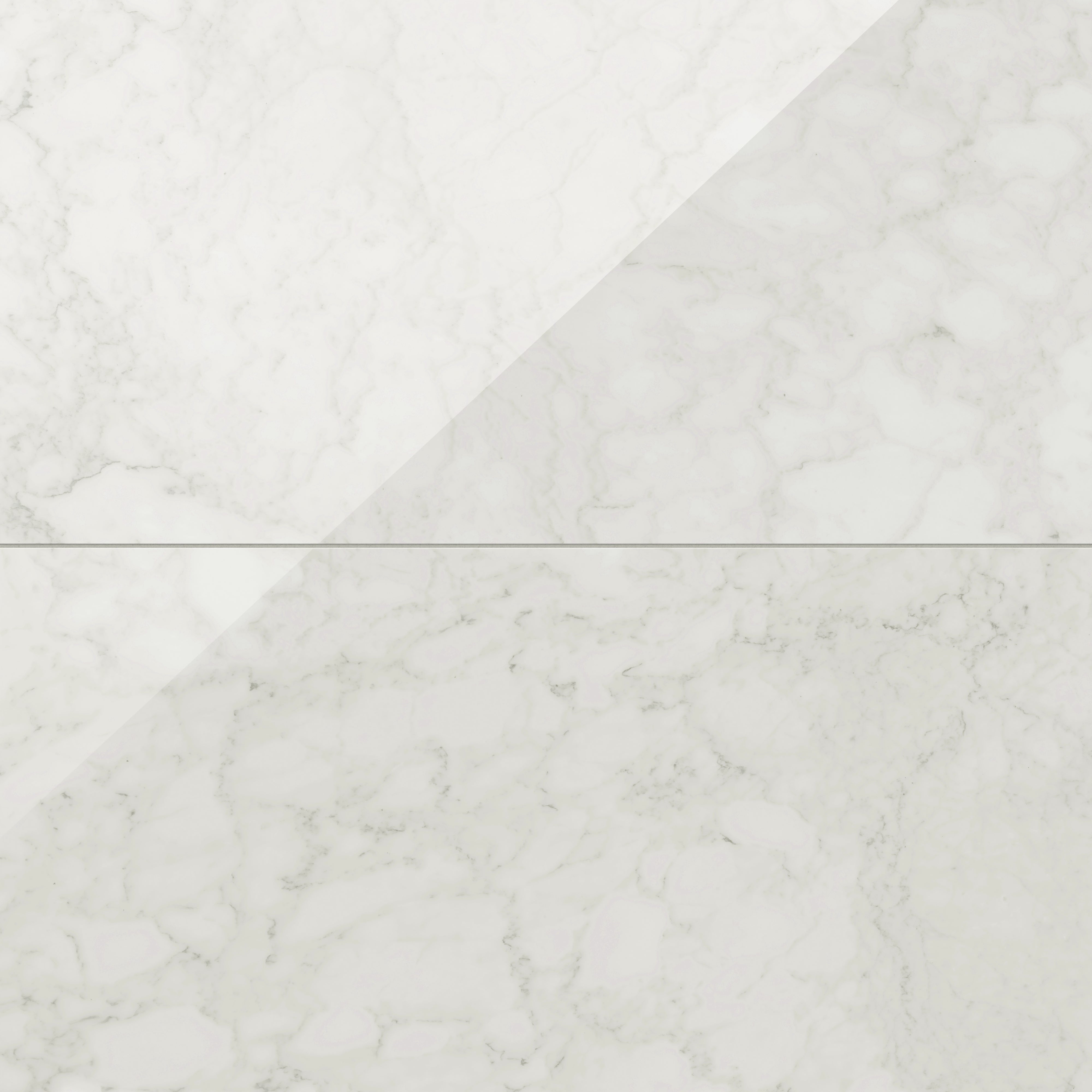 Aniston 24x48 Polished Porcelain Tile in Carrara Bianco