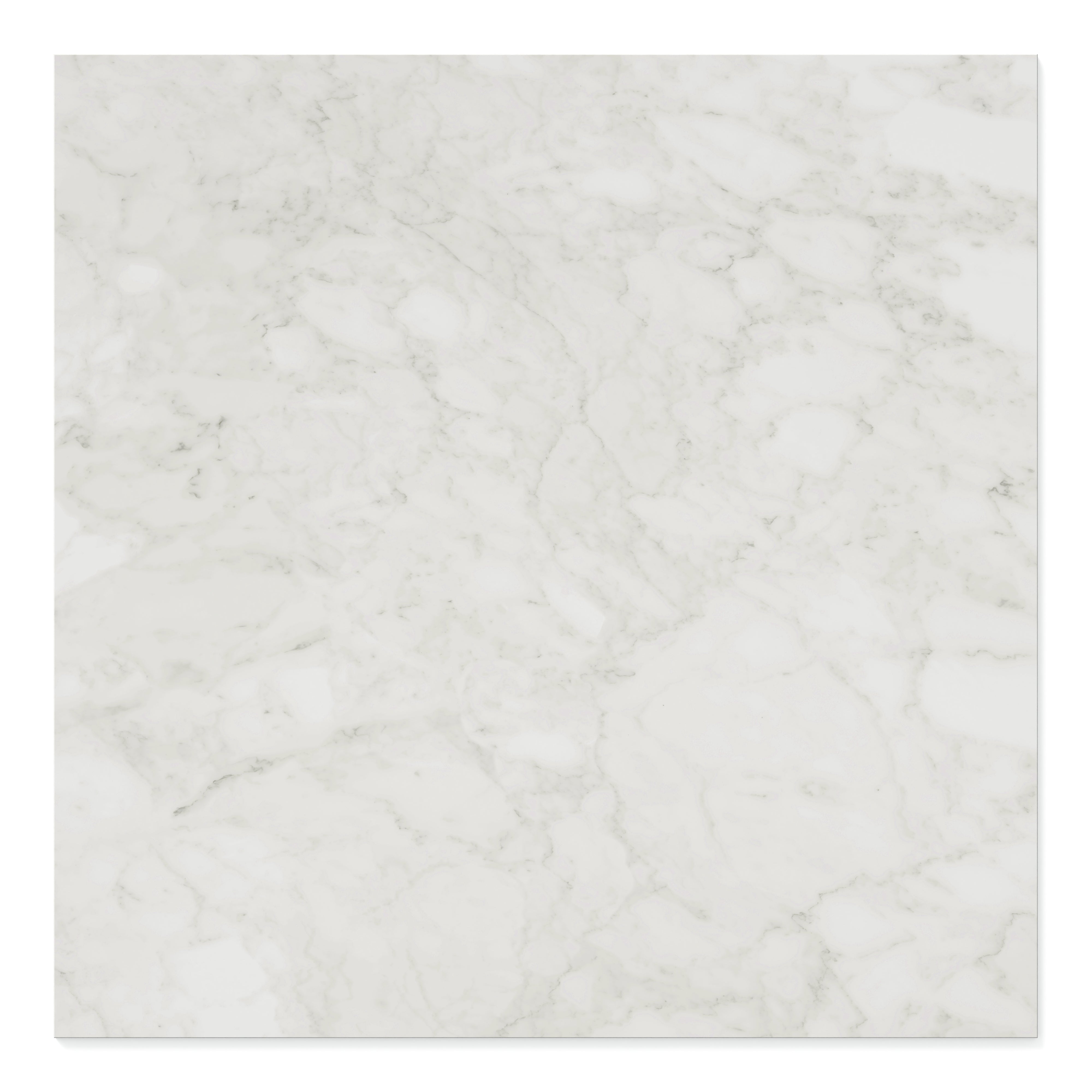 Aniston 48x48 Matte Porcelain Tile in Carrara Bianco