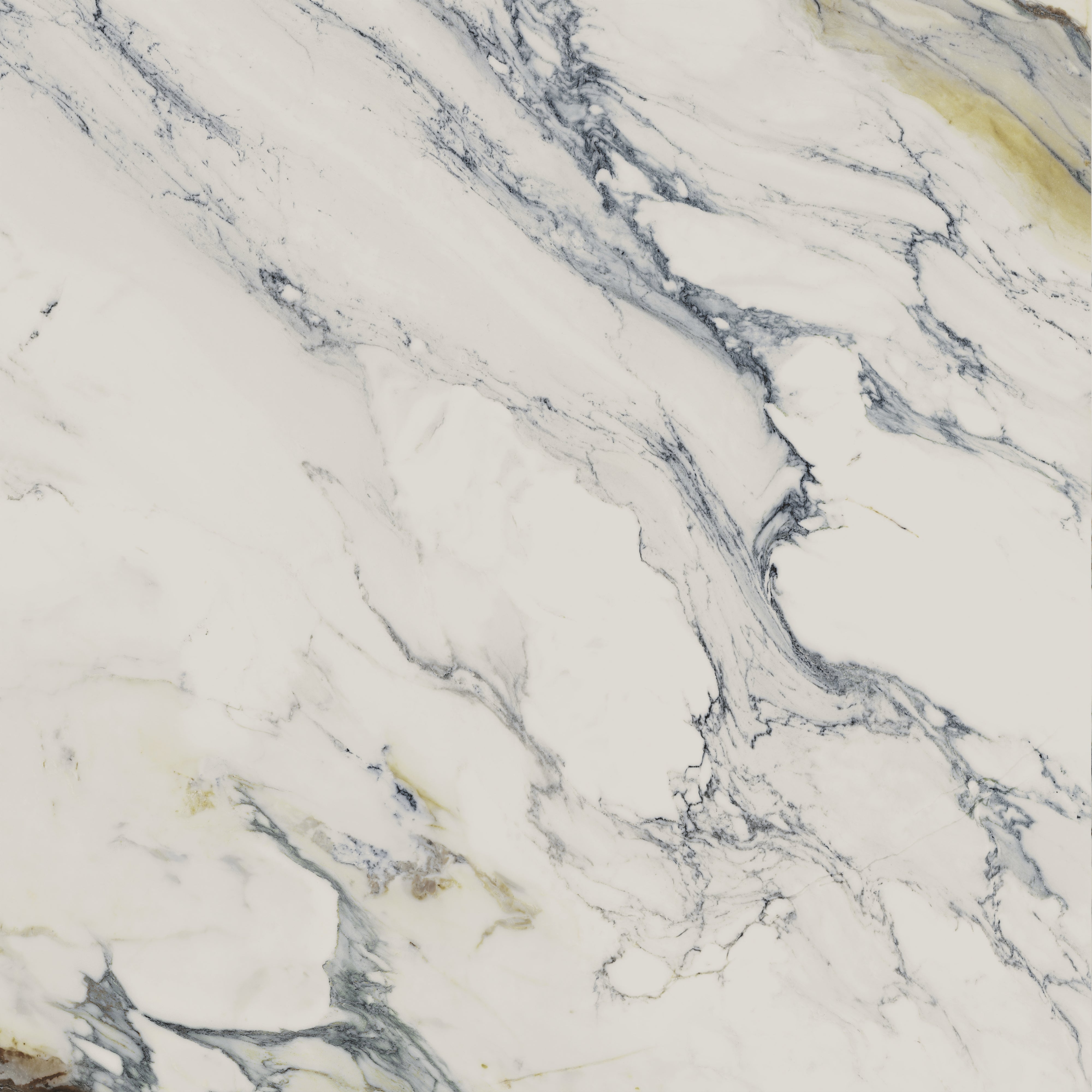 Aniston Calacatta Antico Marble-Look Porcelain Tile showcasing intricate veining and luxurious finish.