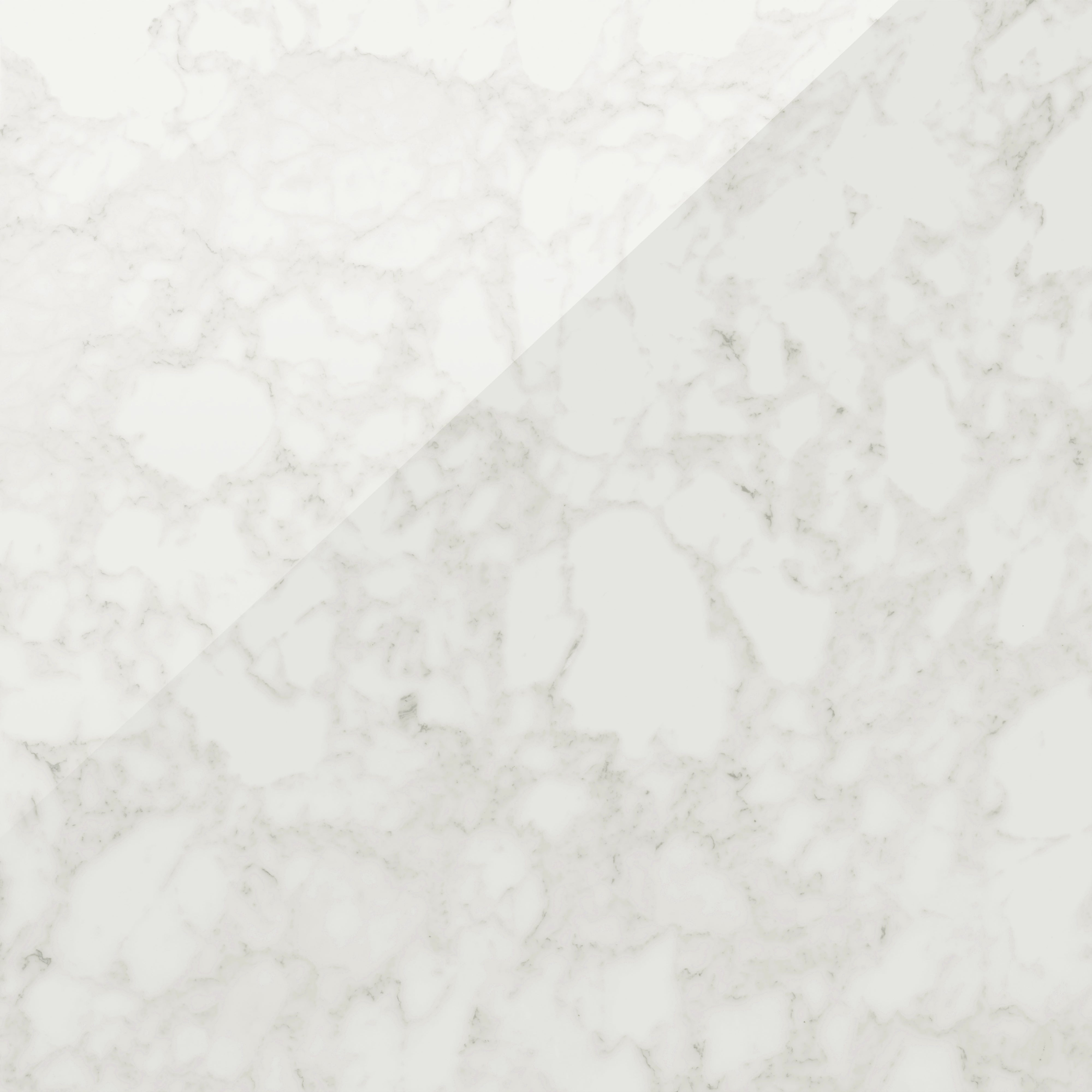 Aniston 48x48 Polished Porcelain Tile in Carrara Bianco