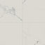 Leona 24x24 Matte Porcelain Tile in Calacatta