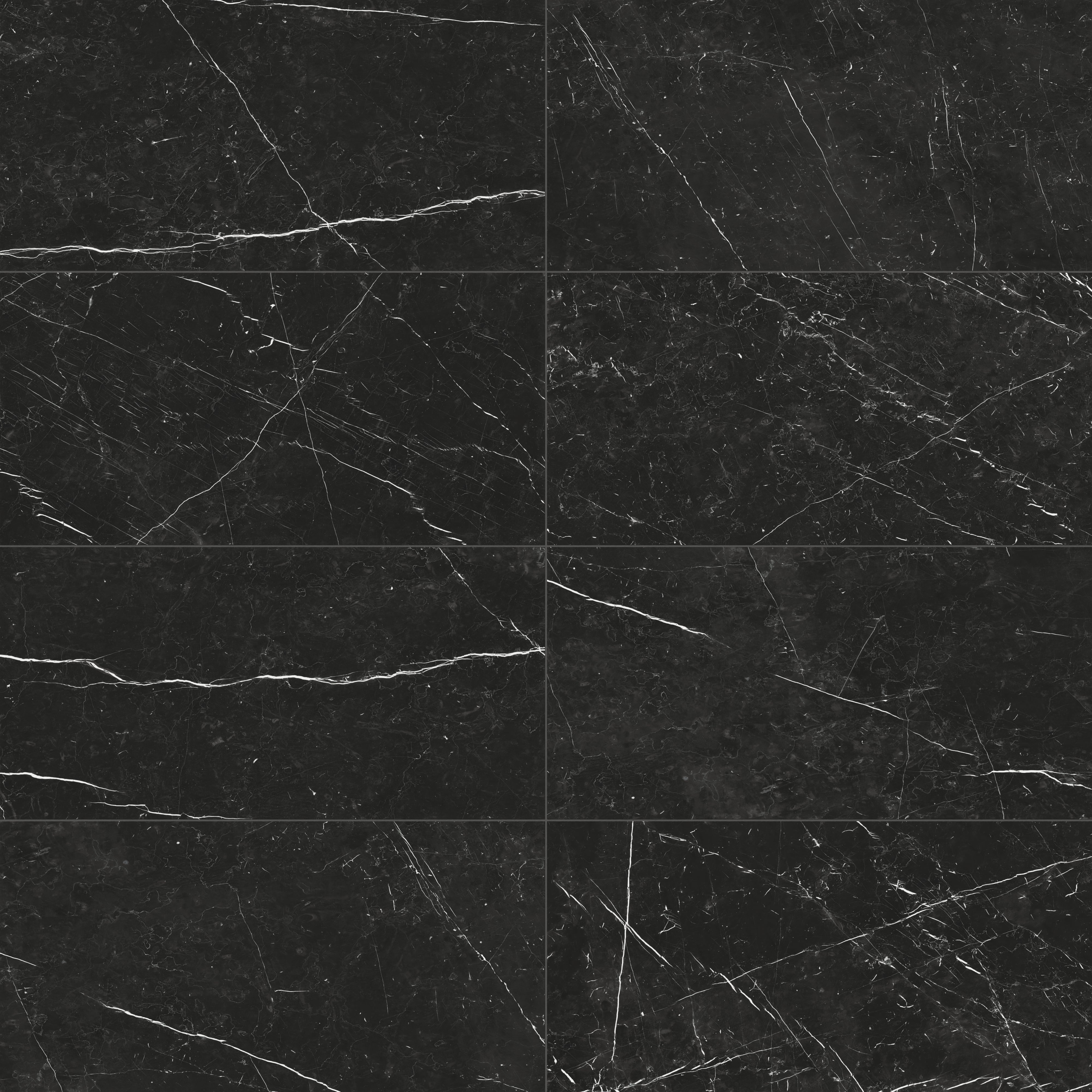 Leona 24x48 Polished Porcelain Tile in Nero Marquina