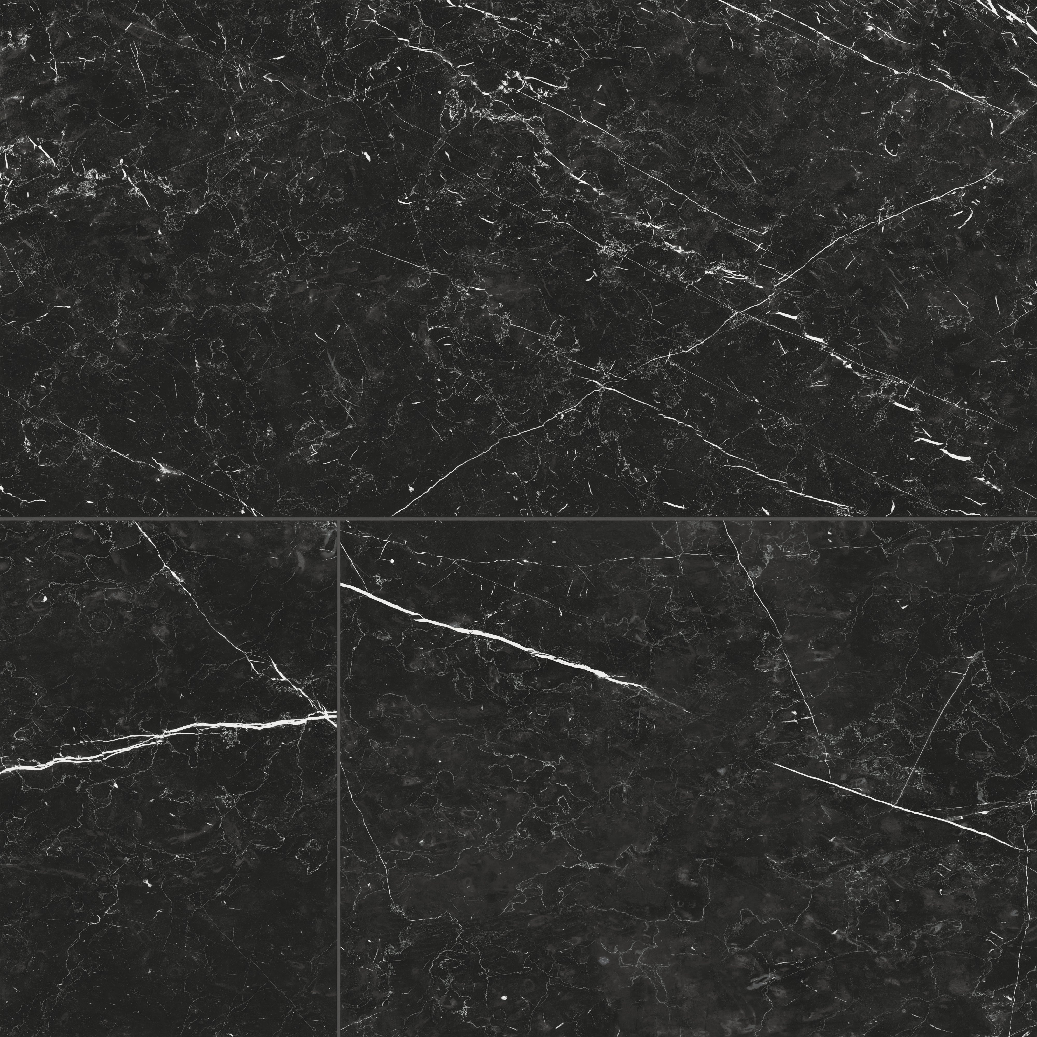 Leona 24x48 Polished Porcelain Tile in Nero Marquina