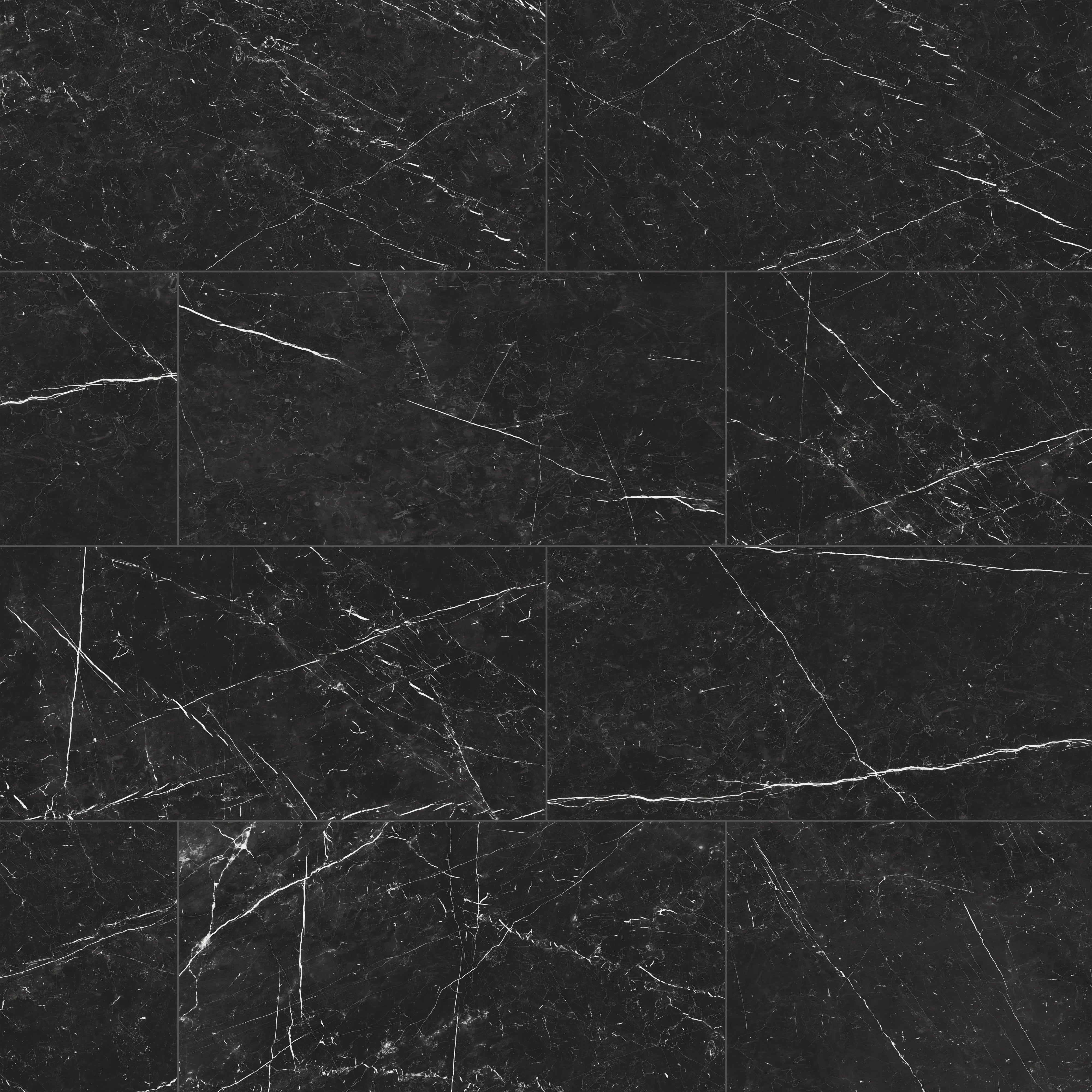 Leona 24x48 Polished Porcelain Tile in Nero Marquina