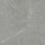 Leona Amani Grey tile, 24x48 matte finish, showcasing a soft grey marble-look with subtle veining for a modern, sophisticated aesthetic.
