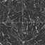 Blair 24x24 Matte Porcelain Tile in Marmo Black