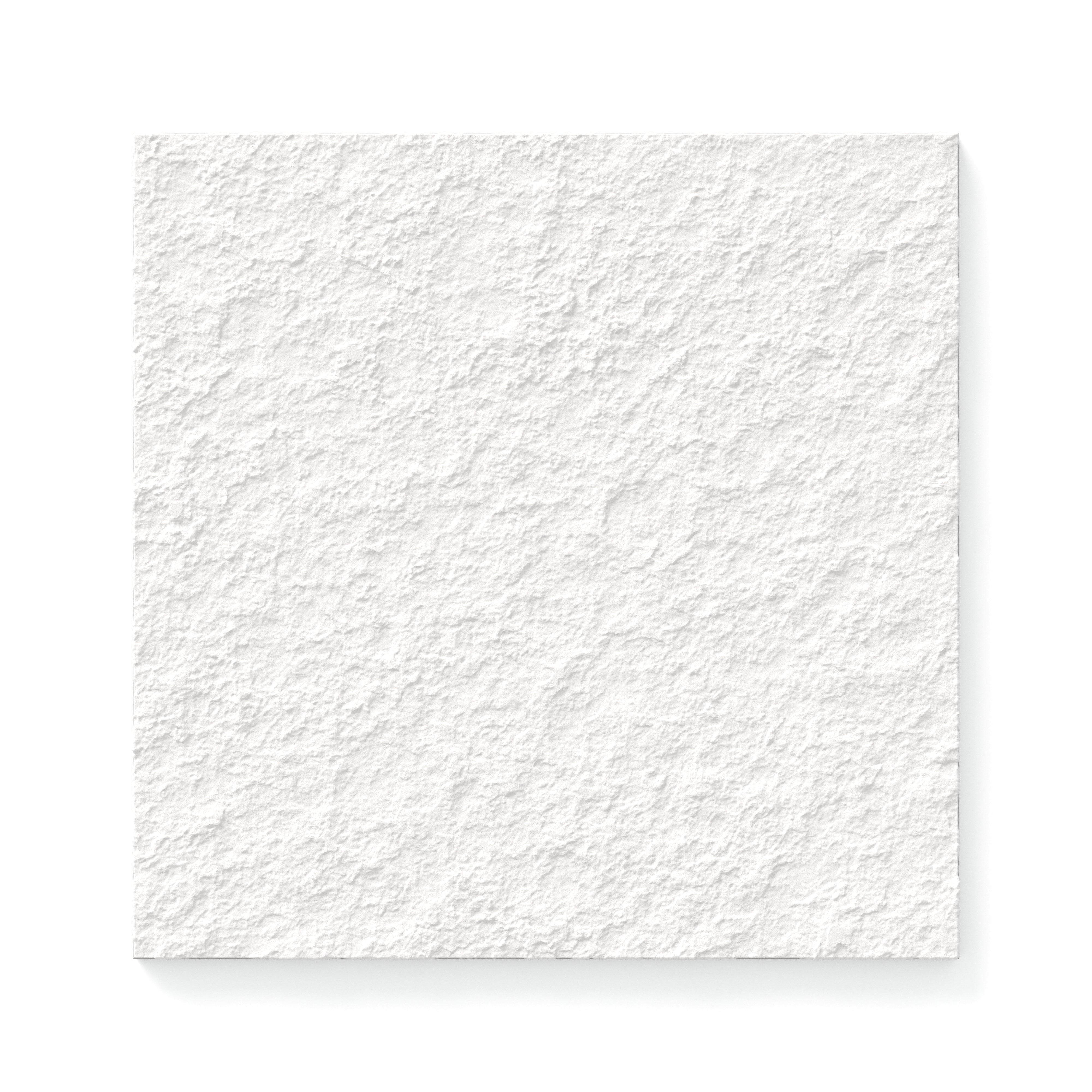 Palmer 12x12 Raw Porcelain Tile in White