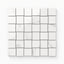 Julianna Carrara 2x2 polished mosaic tiles with soft gray veining, offering a classic marble aesthetic in a versatile format.