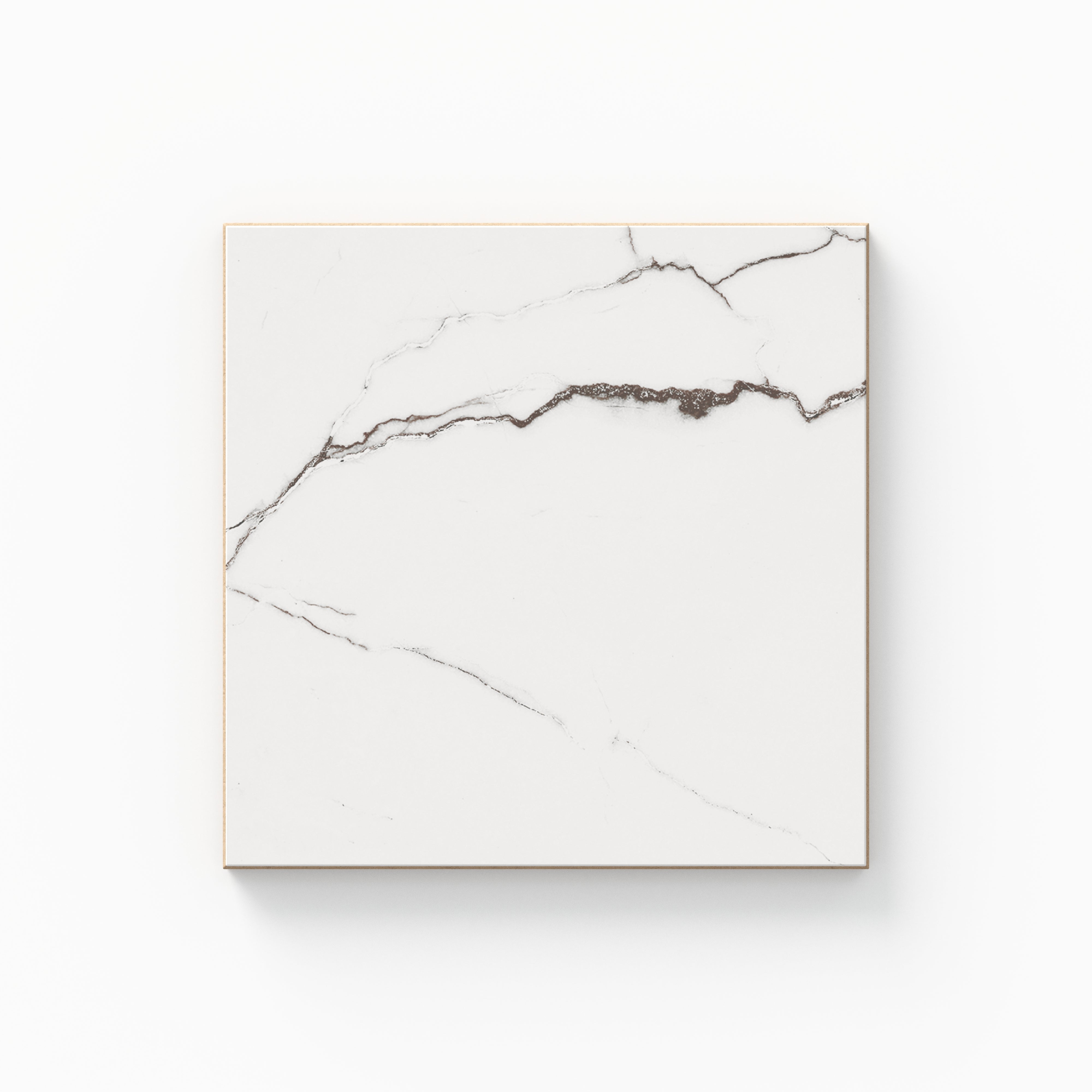 Natalia 6 x 6 Matte Calacatta Lincoln Sample