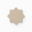Isabel 6x6 Matte Porcelain Star Tile in Bone