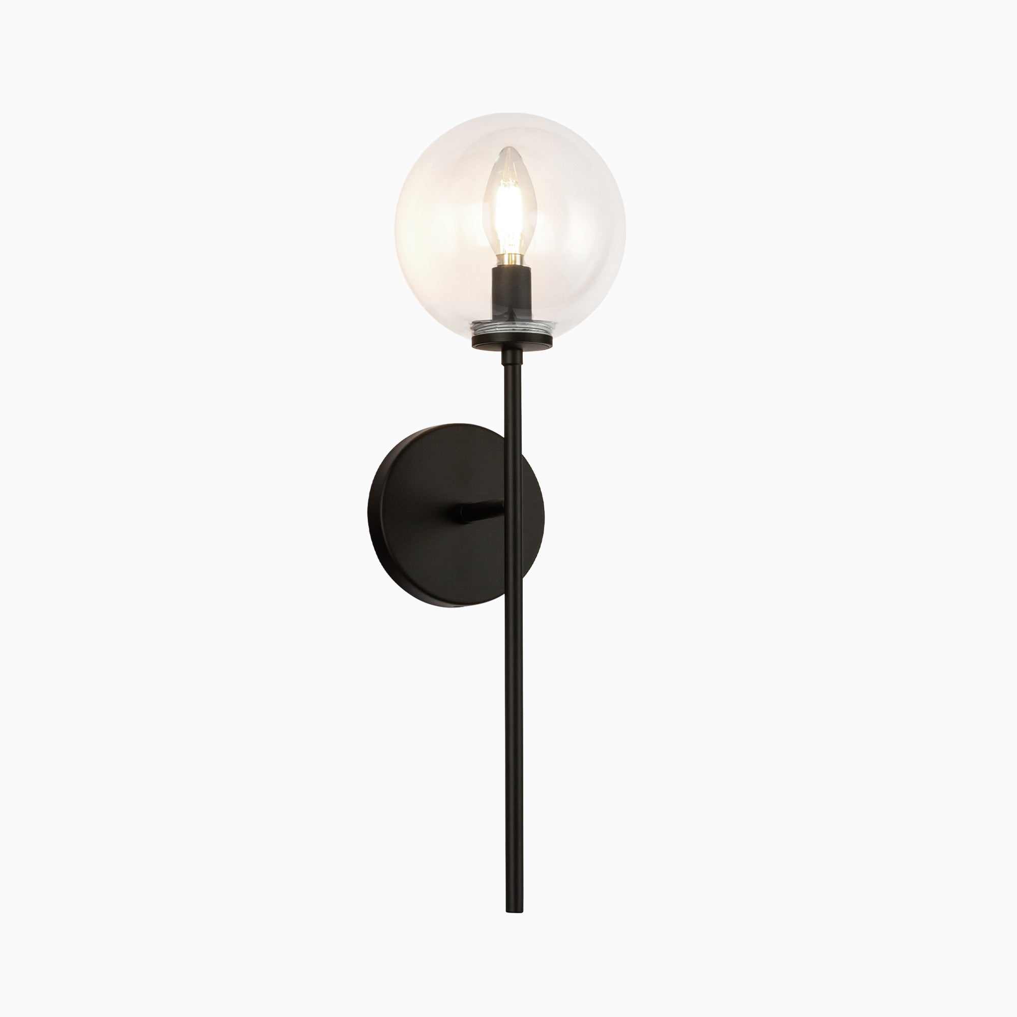 Hailey 20" 1 Light Wall/Vanity Light in Matte Black/Clear Glass