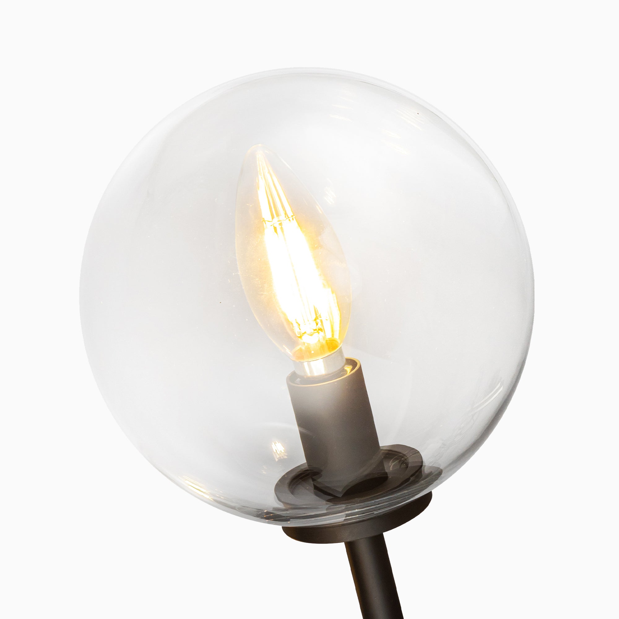 Hailey 20" 1 Light Wall/Vanity Light in Matte Black/Clear Glass