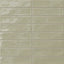 Harper 3 x 12 Glossy Ceramic Tile in Basil