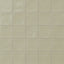 Harper 5 x 5 Glossy Ceramic Tile in Basil