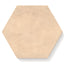 Kai 10x10 Matte Porcelain Hexagon Tile in Almond
