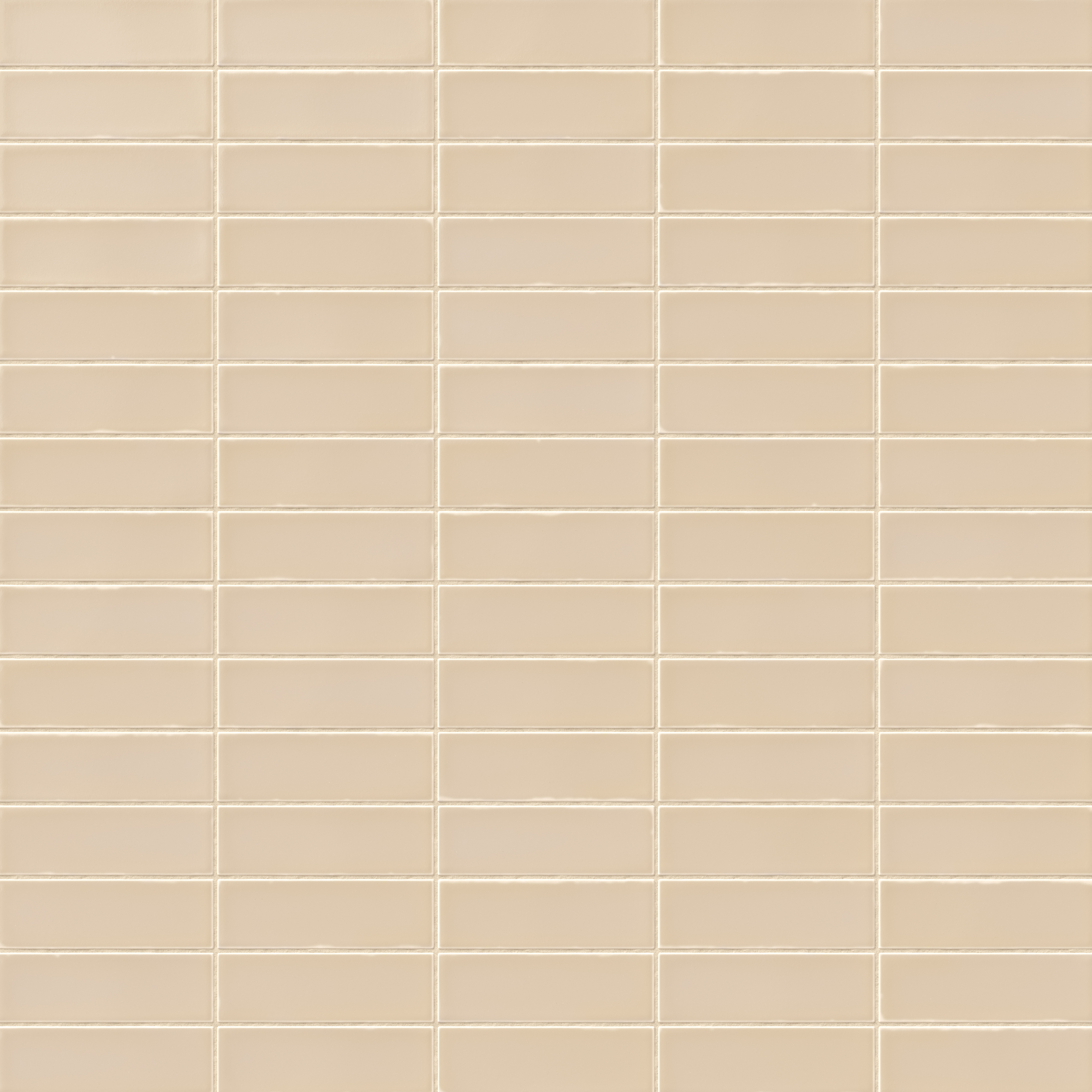 Dani 1.6x5 Matte Ceramic Tile in Cream