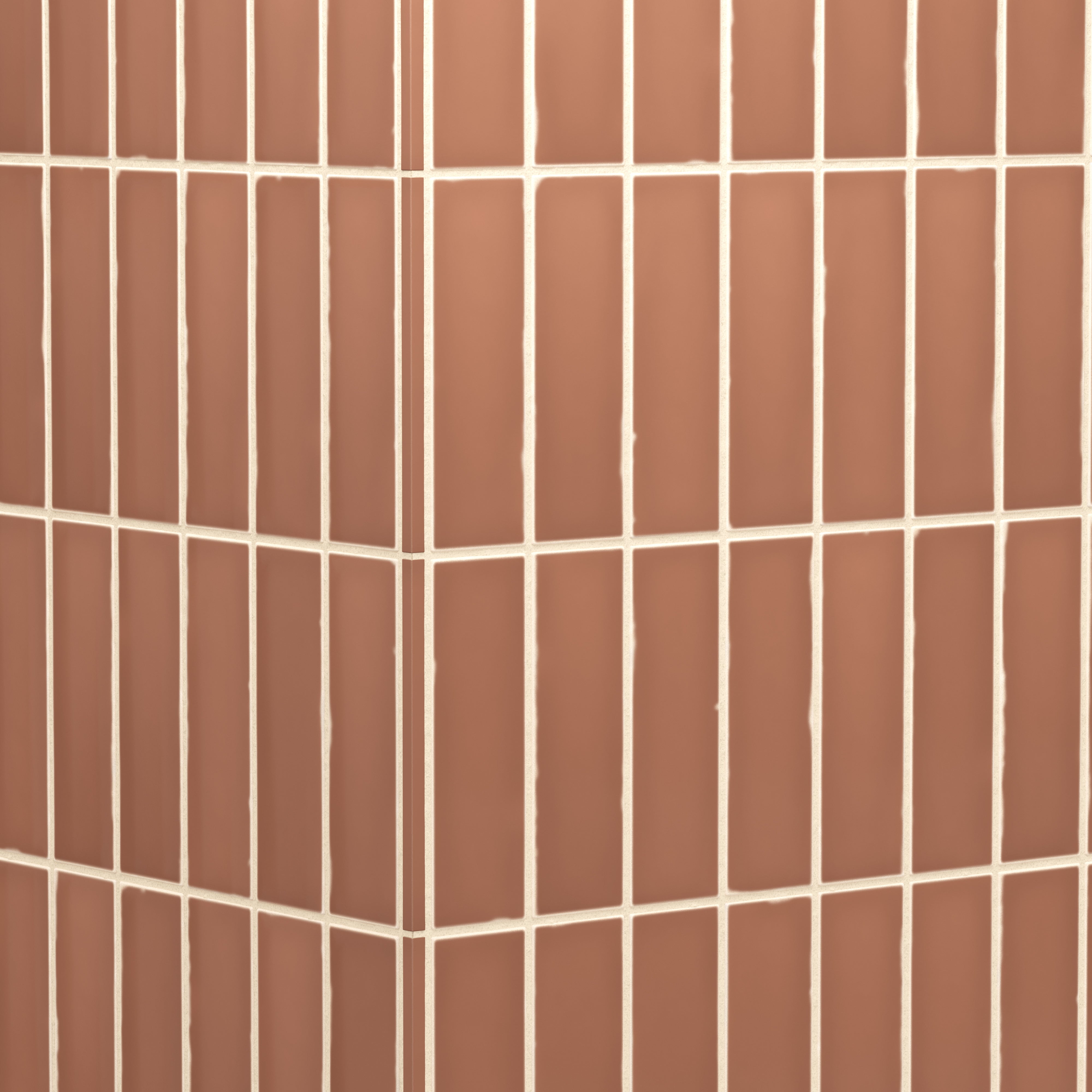 Dani 0.3 x 5 Trim Matte Ceramic Tile in Camel