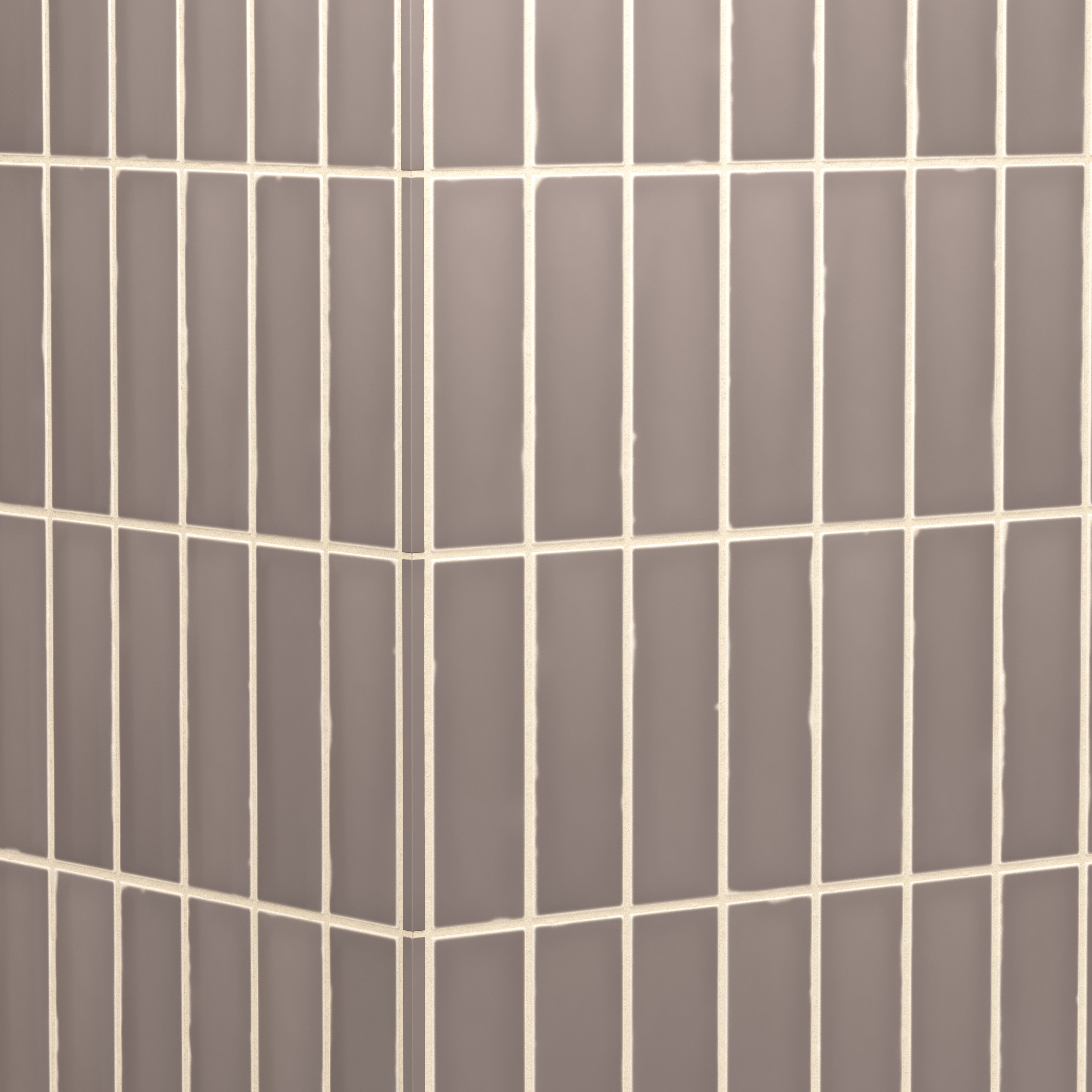 Dani 0.3 x 5 Trim Matte Ceramic Tile in Fossil