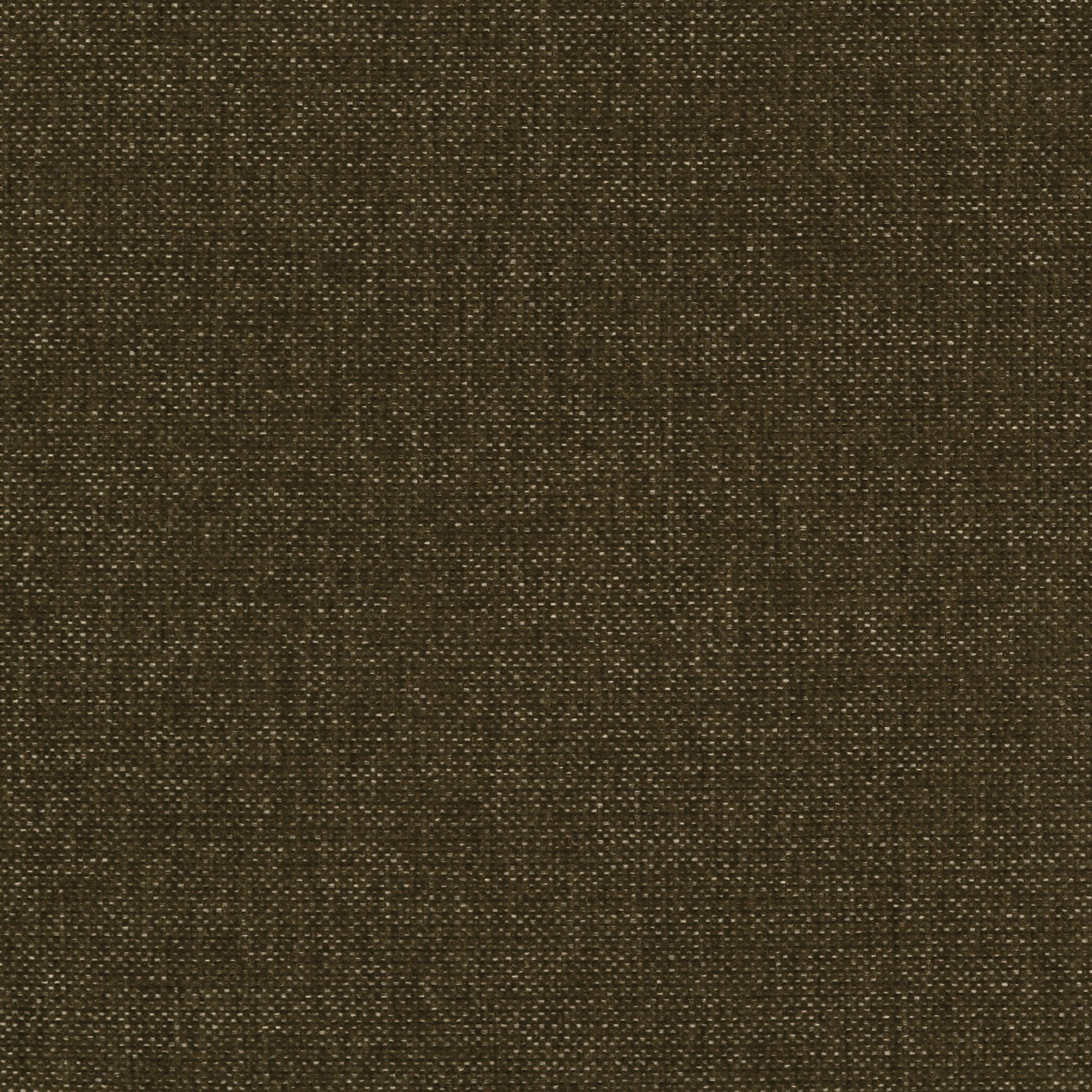 Amira Accent Bench in Sutton Olive, 75"