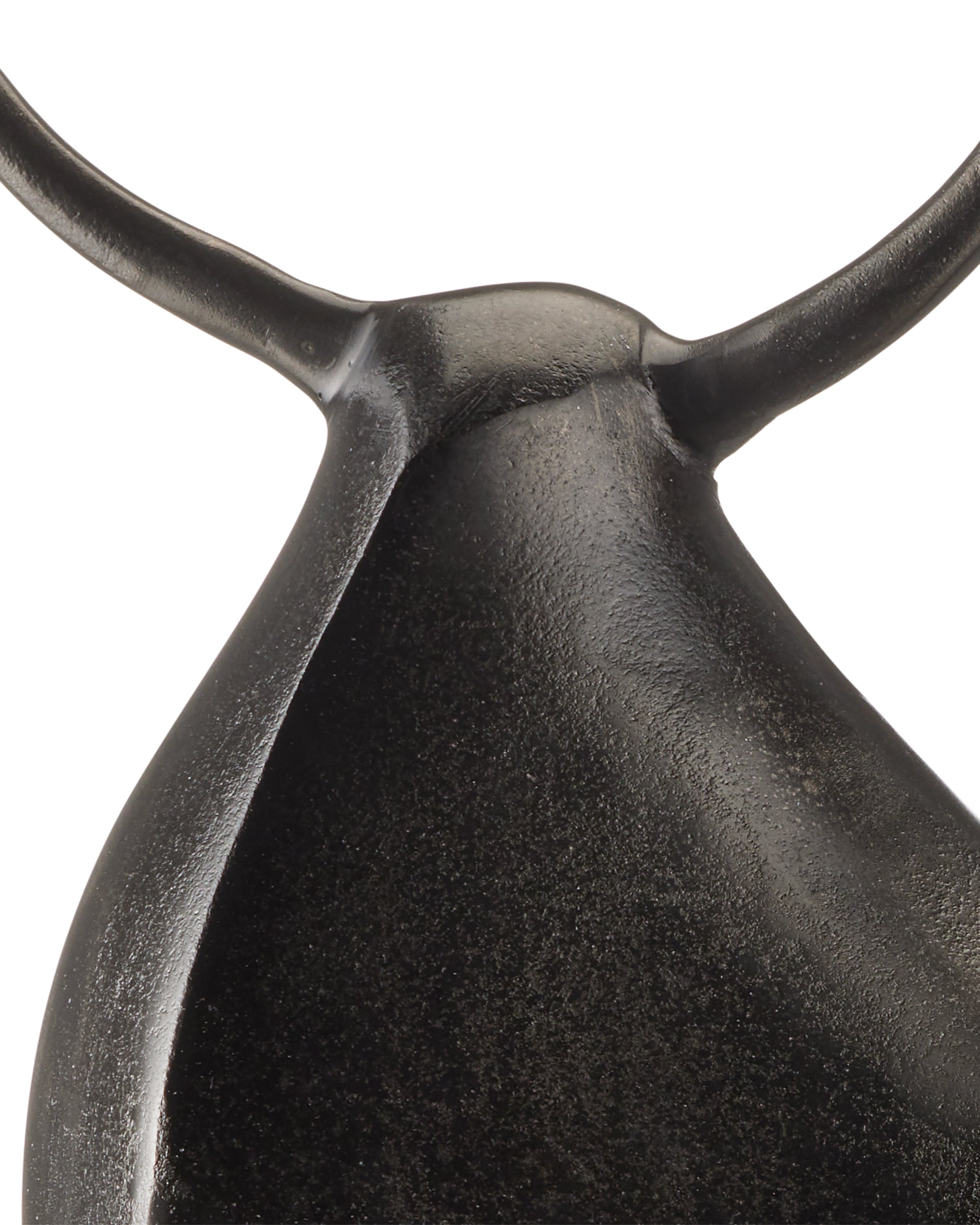Morton Bull
