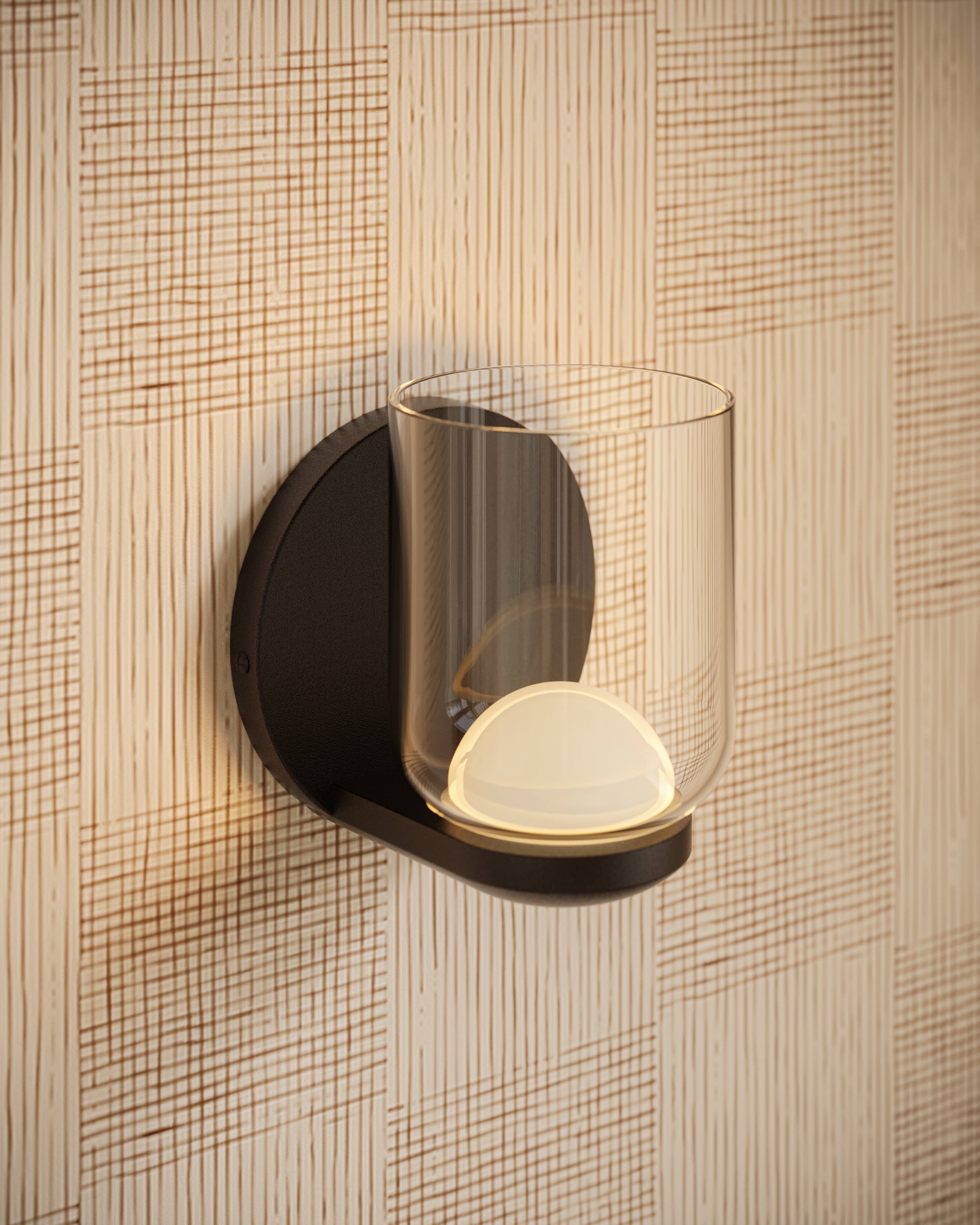 Blake 4" LED Wall Sconce in Black/Clear